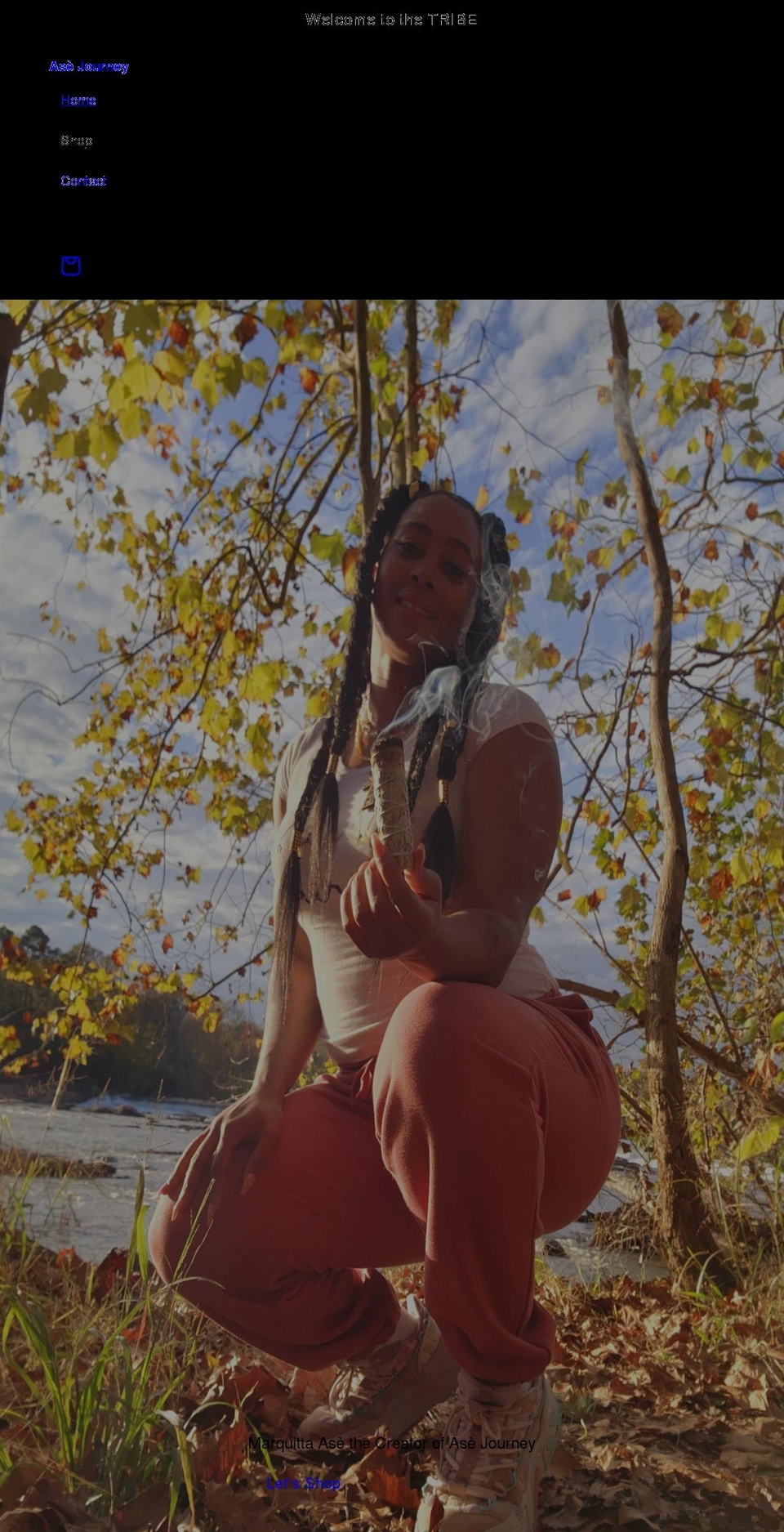 asejourney.com shopify website screenshot