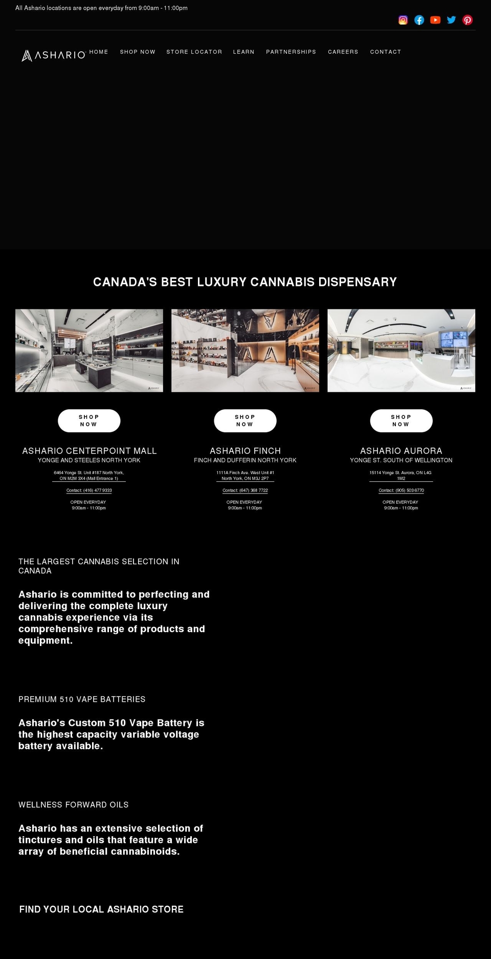 ashario.com shopify website screenshot
