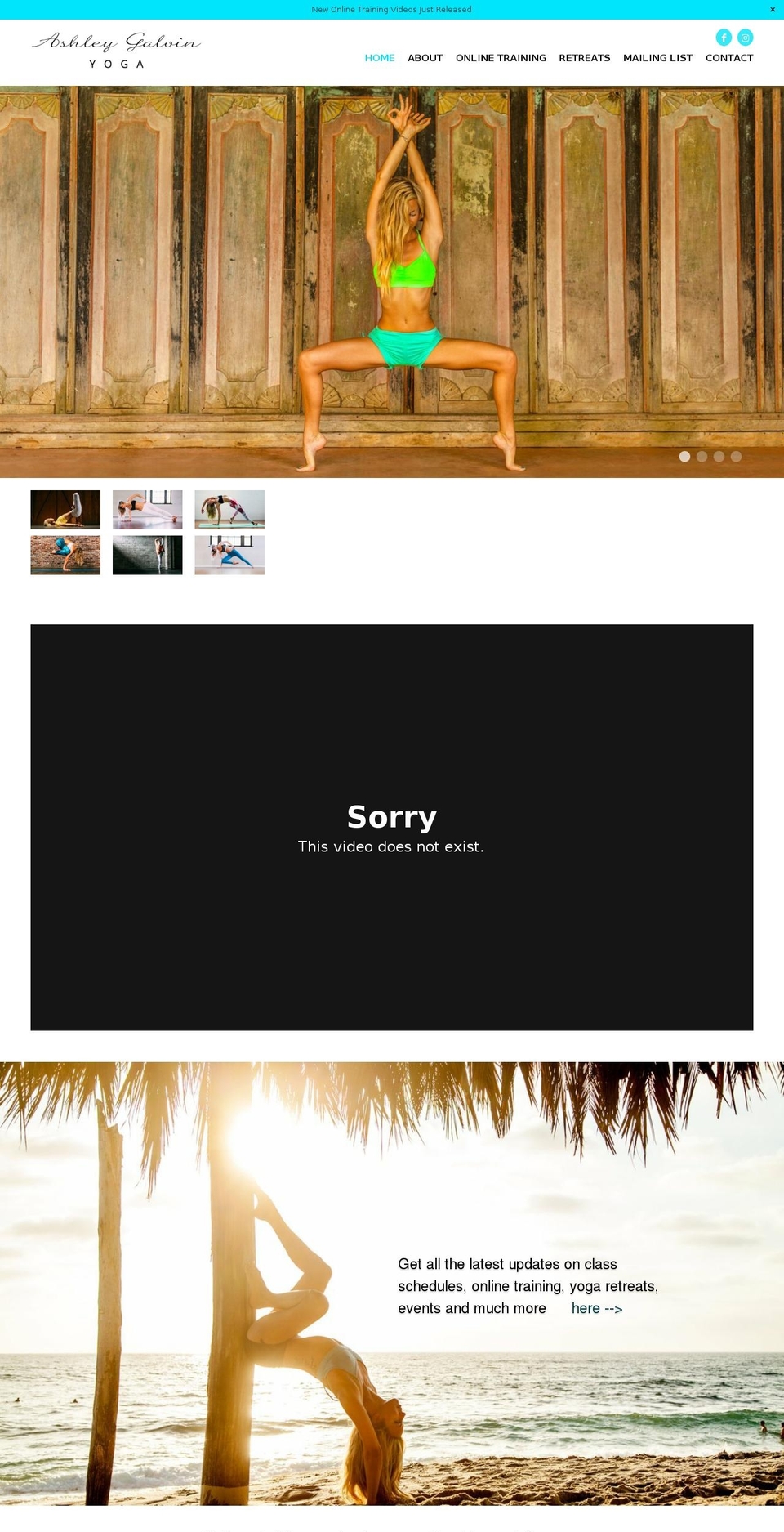 ashleygalvin.com shopify website screenshot