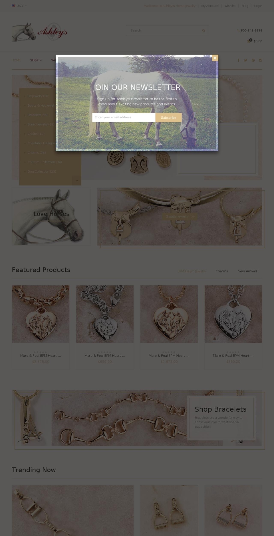 ashleyshorsejewelry.com shopify website screenshot
