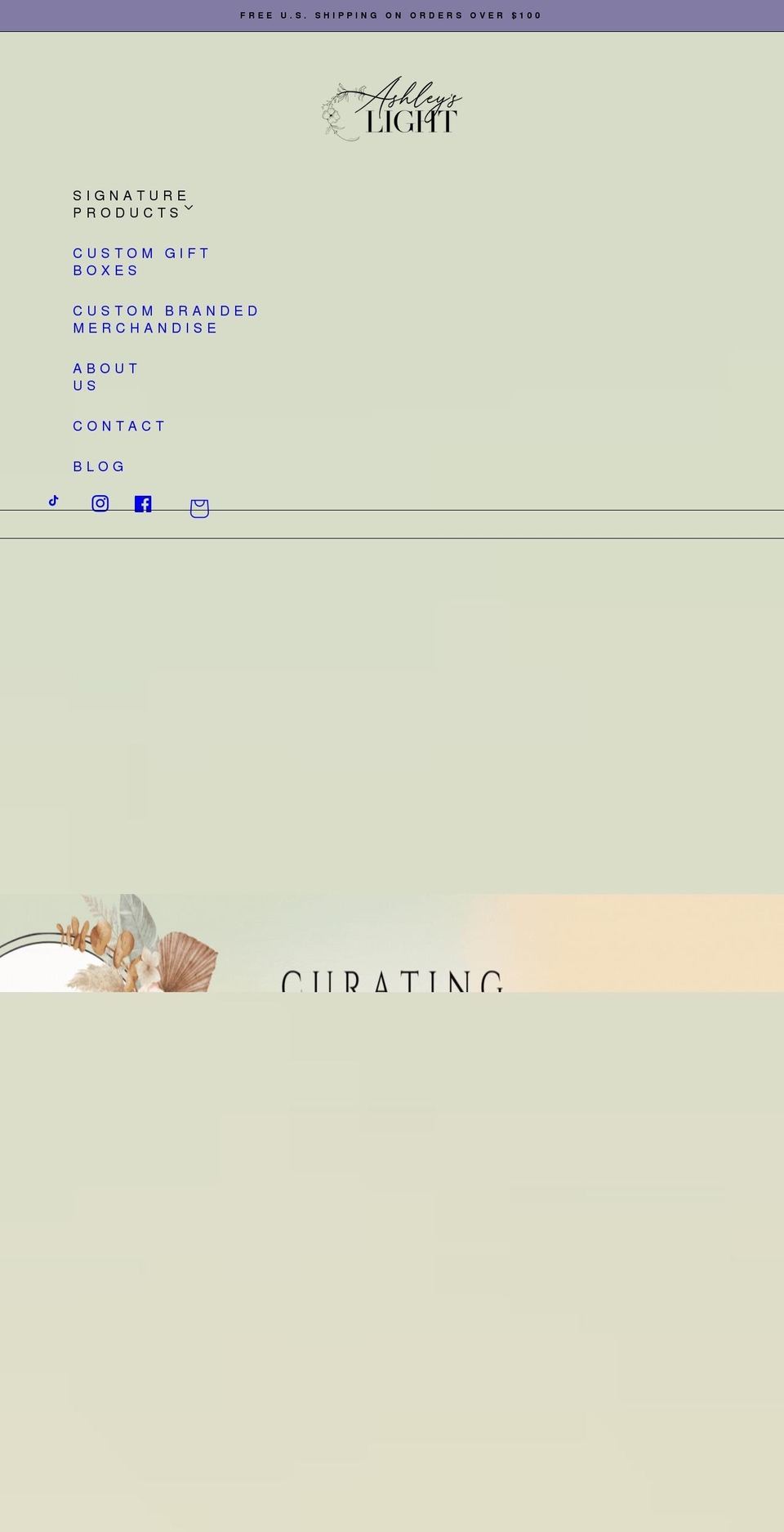 ashleyslightshop.com shopify website screenshot