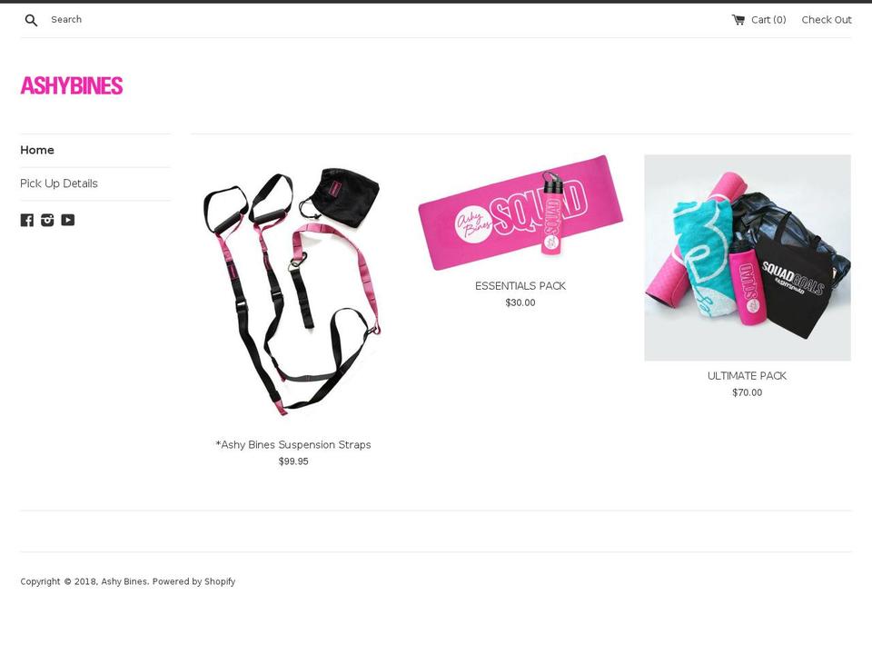 ashybinesproducts.com — Shopify storefront screenshot
