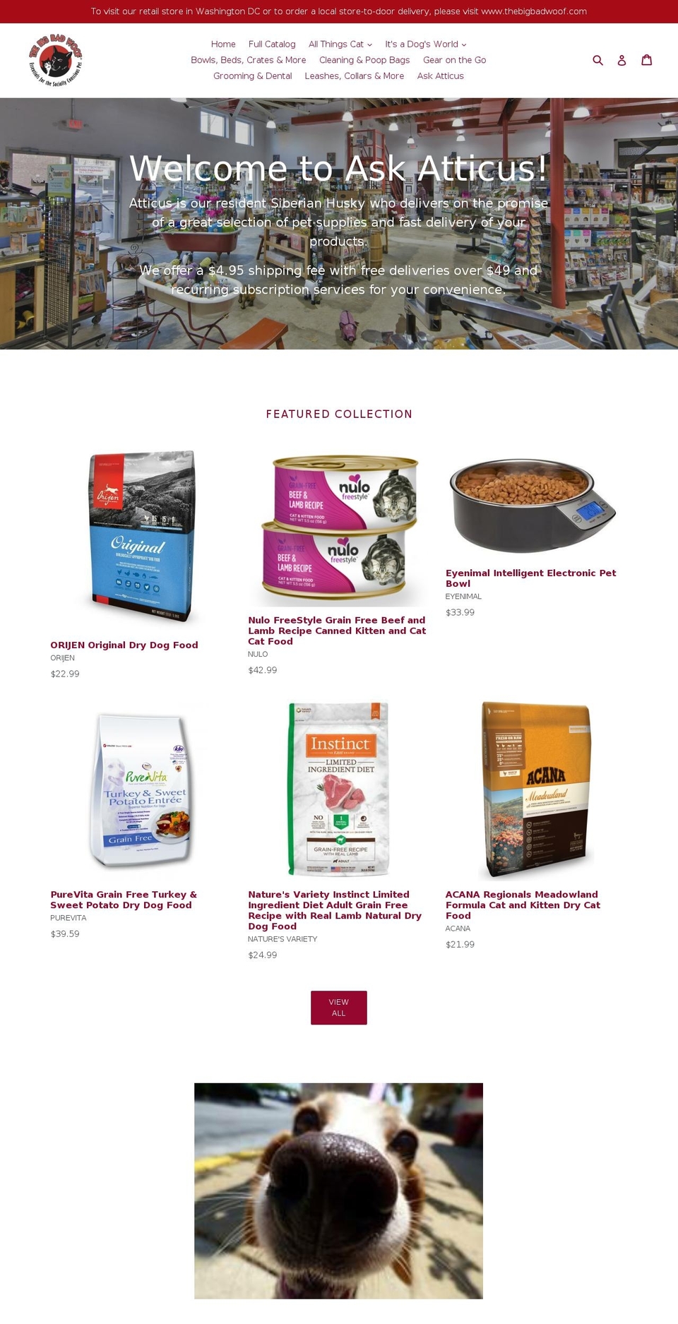 askatticus.com shopify website screenshot