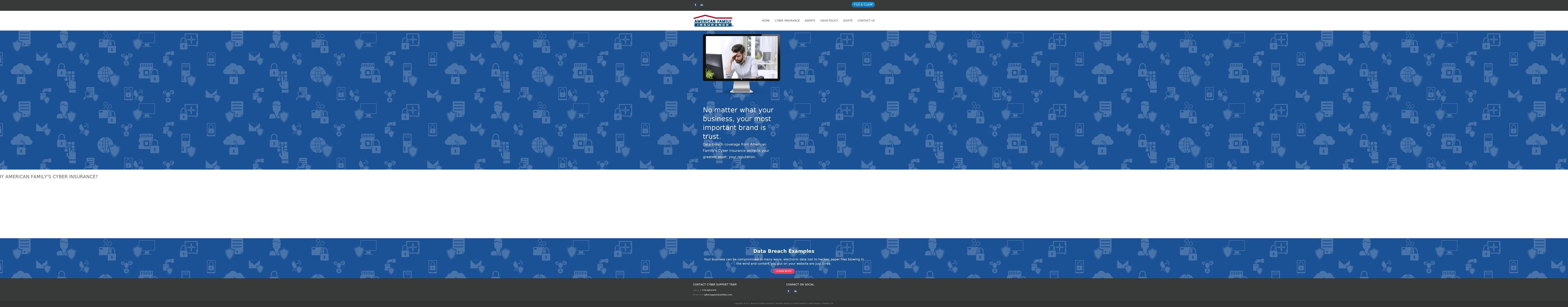 assurestartcyber.com — Shopify storefront screenshot