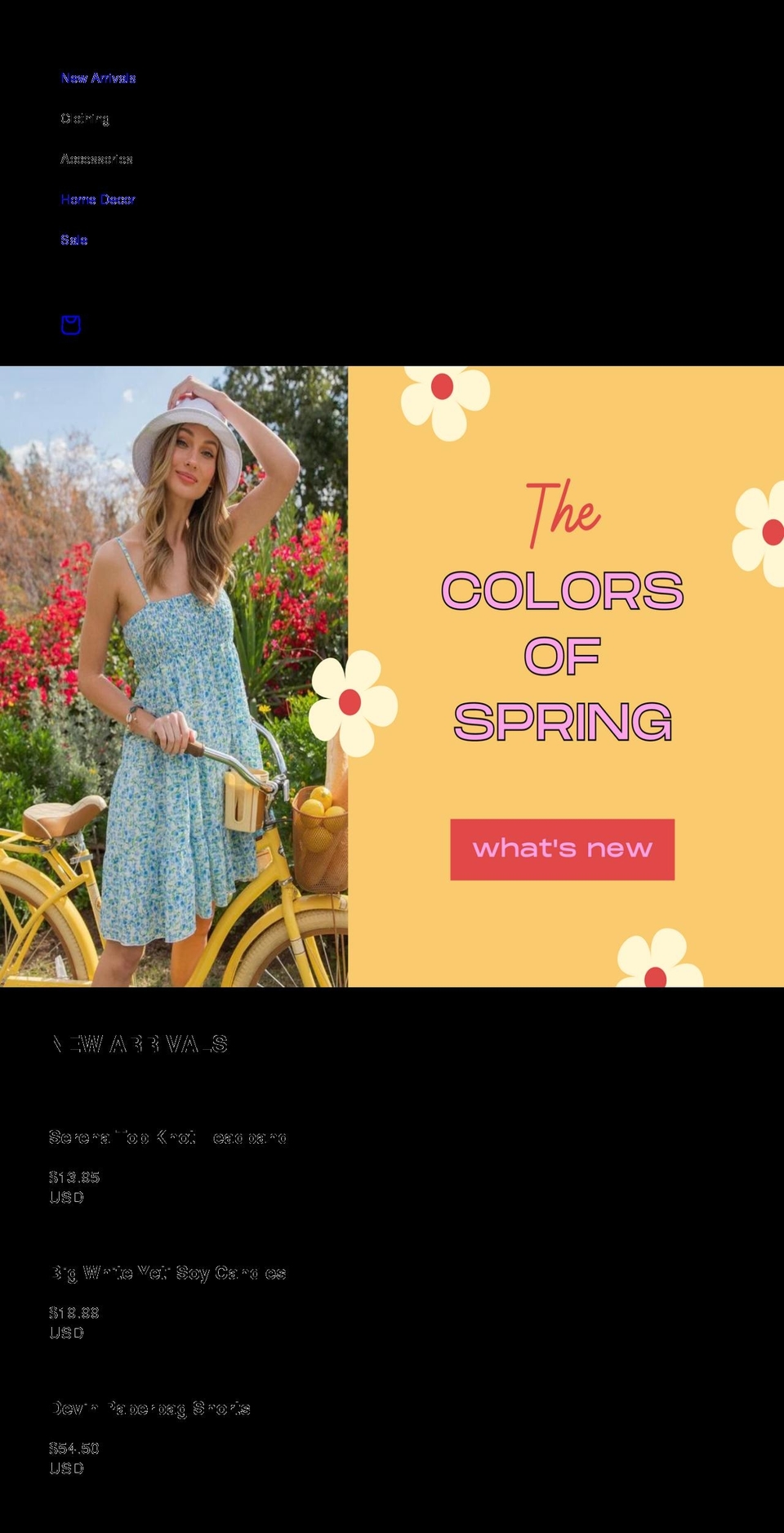 asterandivy.com shopify website screenshot