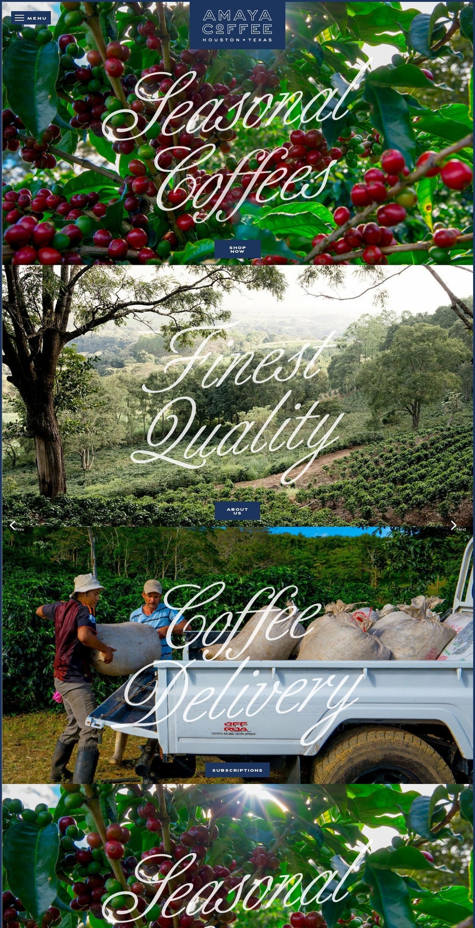 Amaya Retail  Theme by Spindletop Design Shopify theme site example ateshian.com