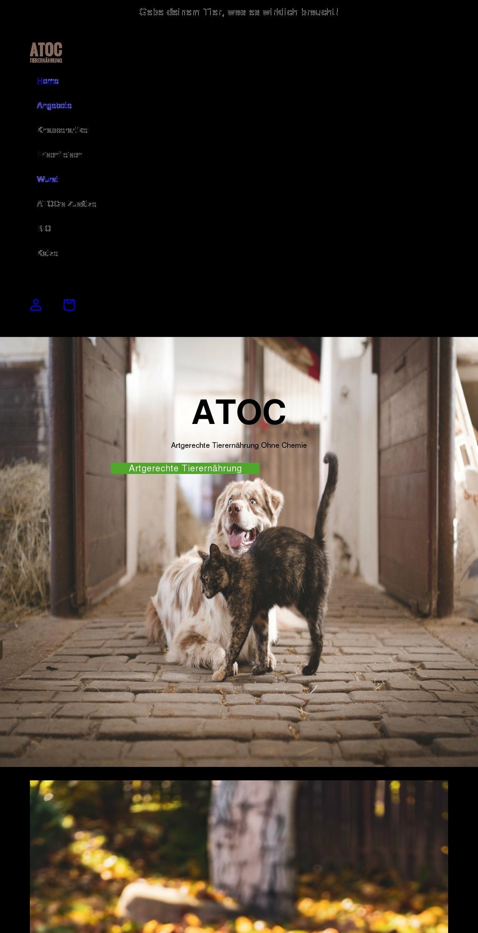 atoc24.de shopify website screenshot