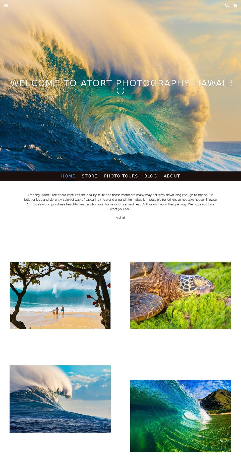 atortphotography.com shopify website screenshot