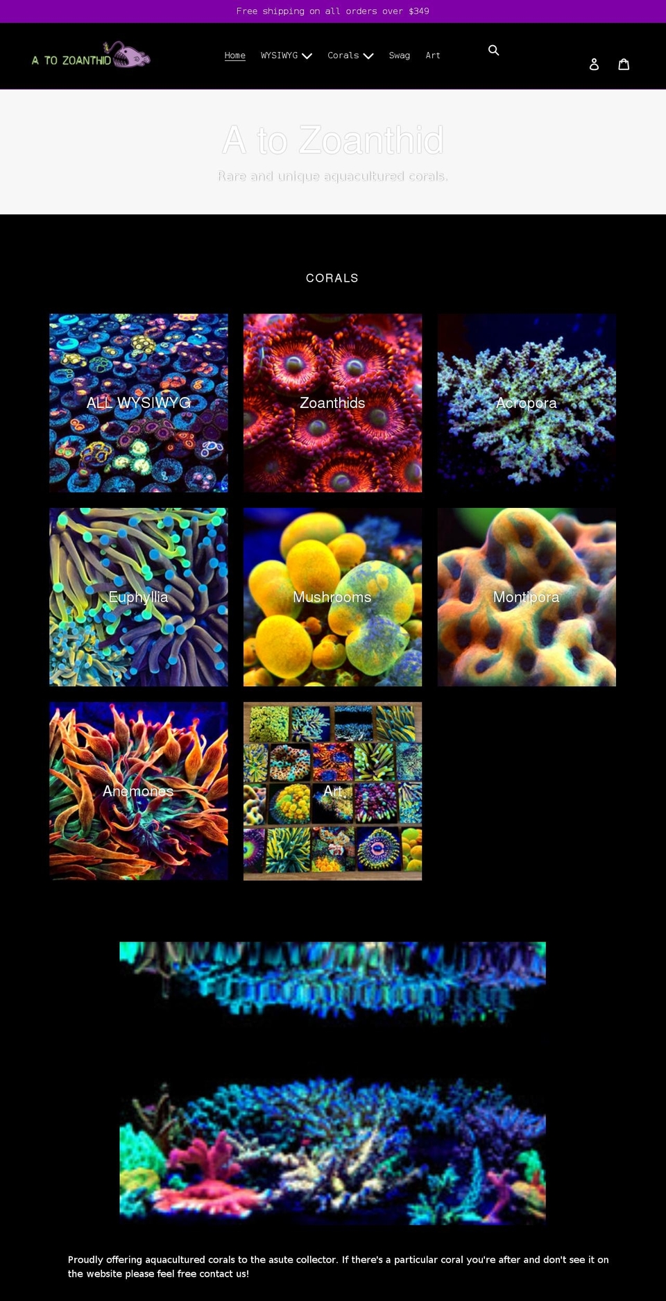 atozoanthid.com shopify website screenshot
