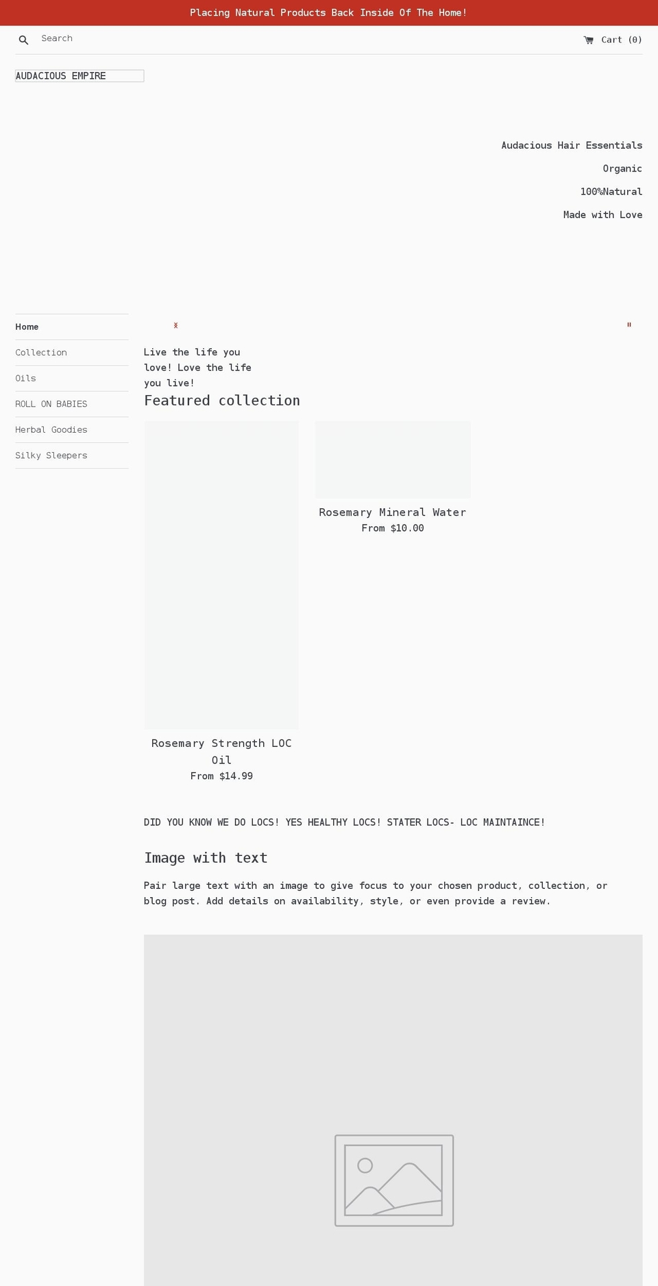 audaciousempire.net shopify website screenshot