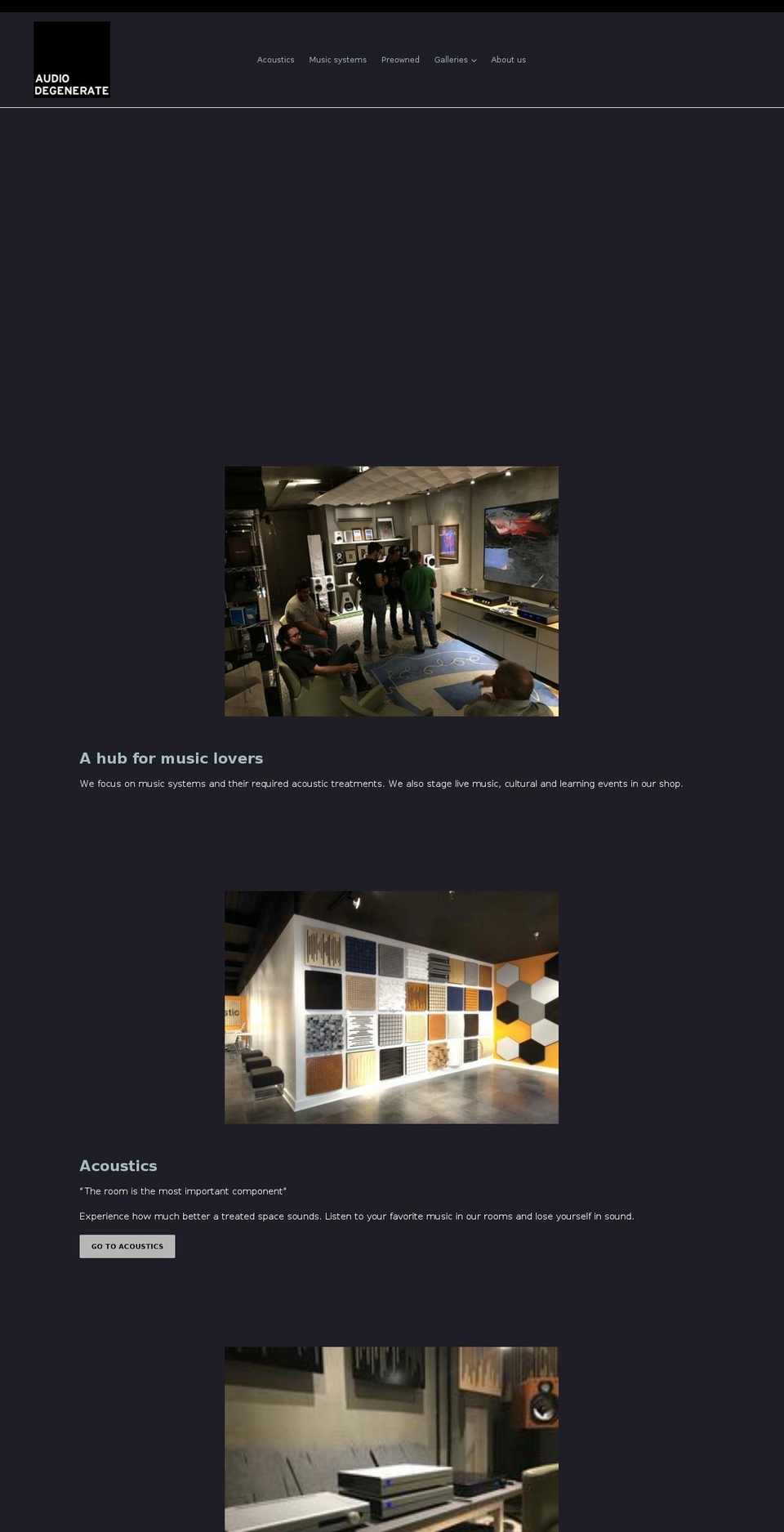 audiodegenerate.com — Shopify storefront screenshot