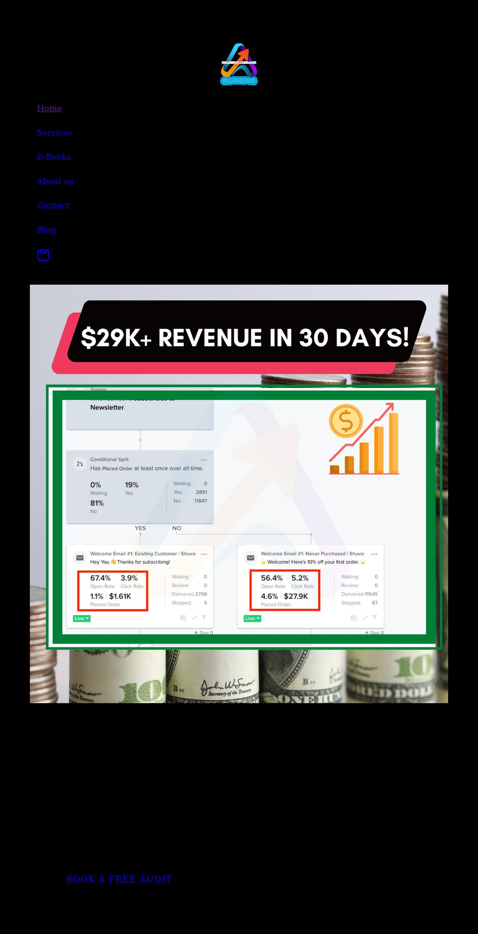 auroraemail.com shopify website screenshot