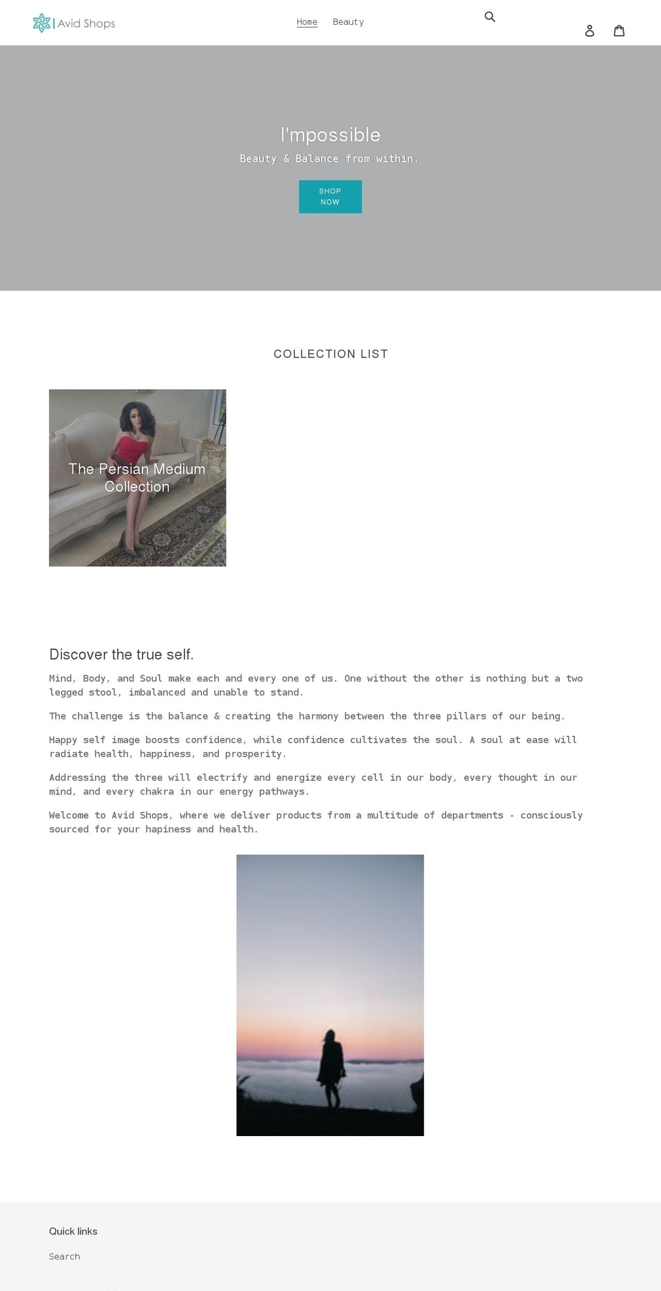 avidshops.com shopify website screenshot