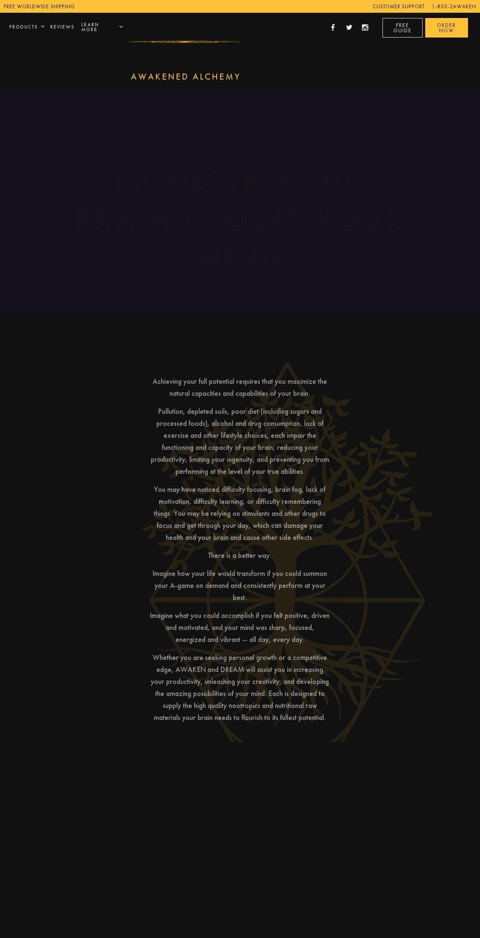 Awakened Alchemy Shopify theme site example awaken-alchemy.com