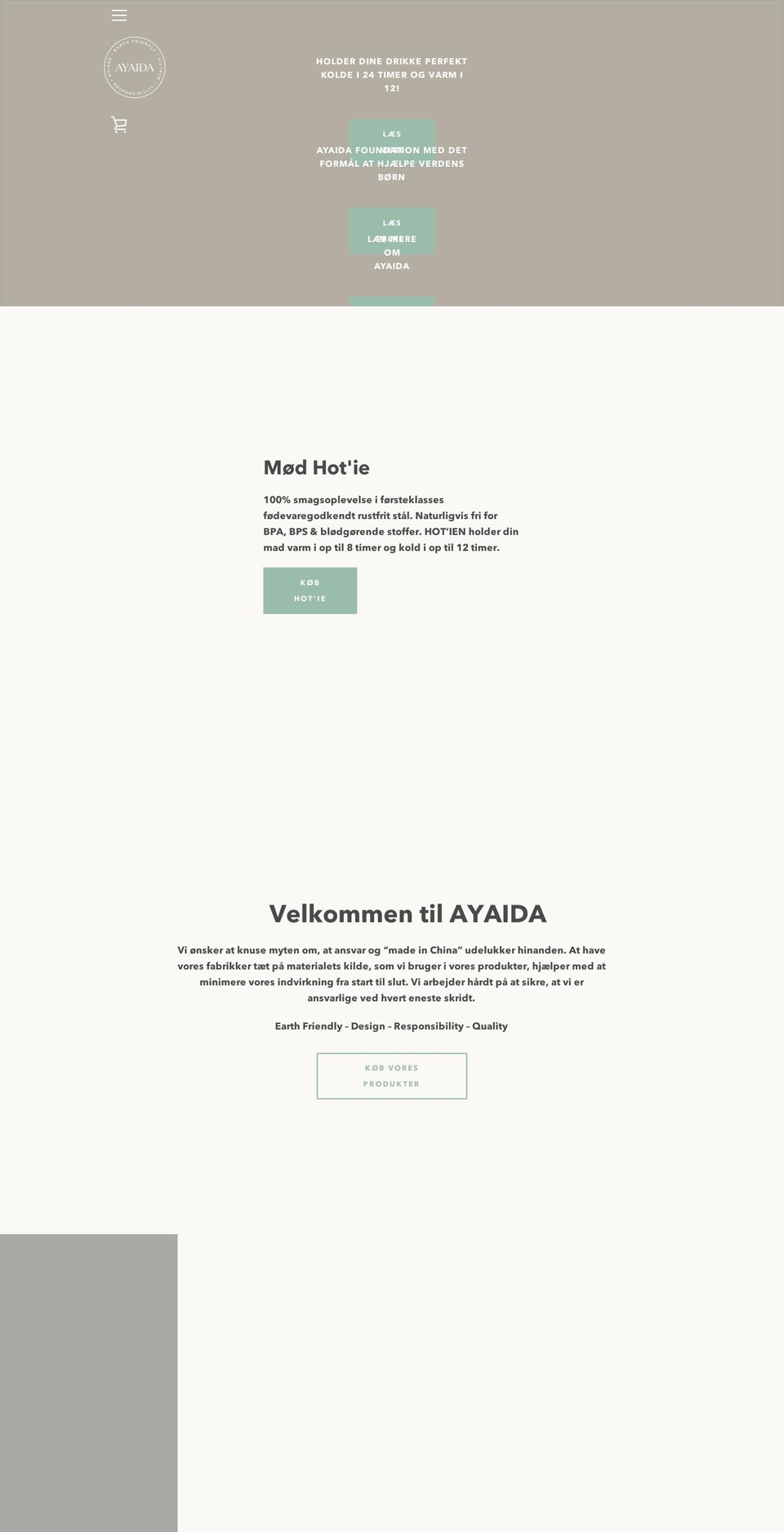 ayaida.com — Shopify storefront screenshot