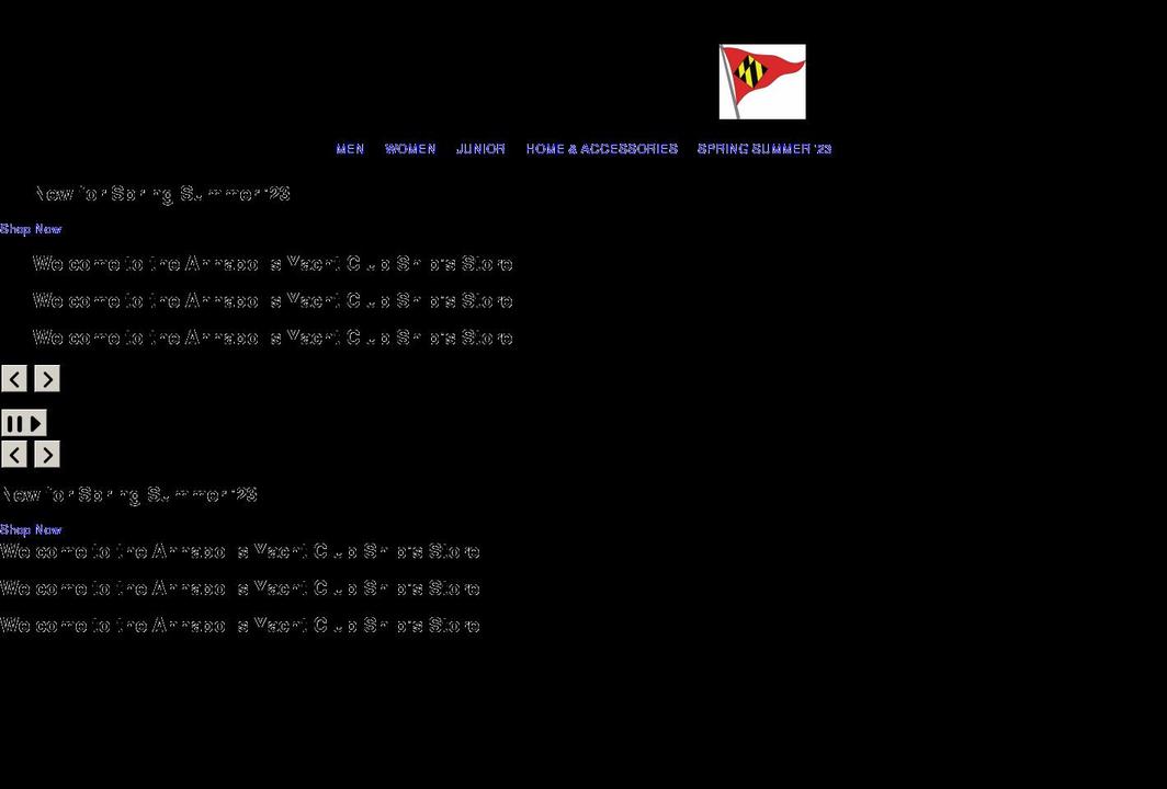 aycshipsstore.shop shopify website screenshot