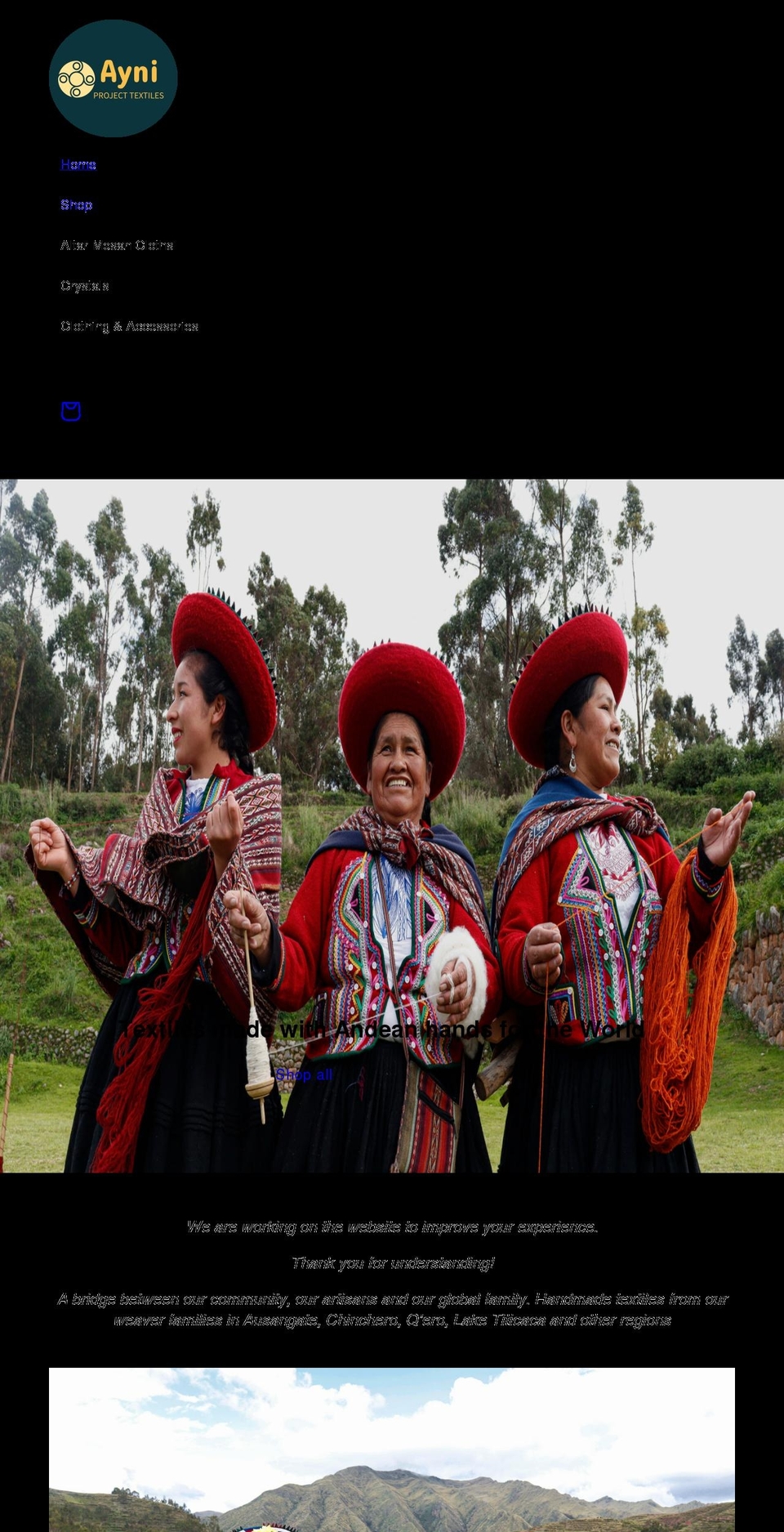 ayniprojecttextiles.com shopify website screenshot