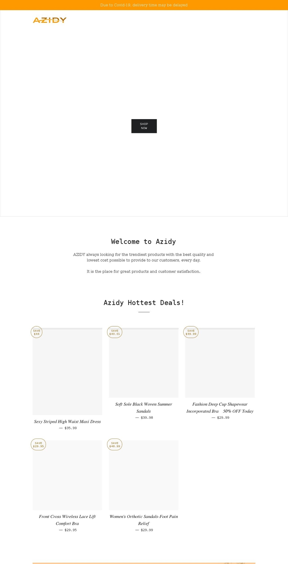 azidy.com shopify website screenshot