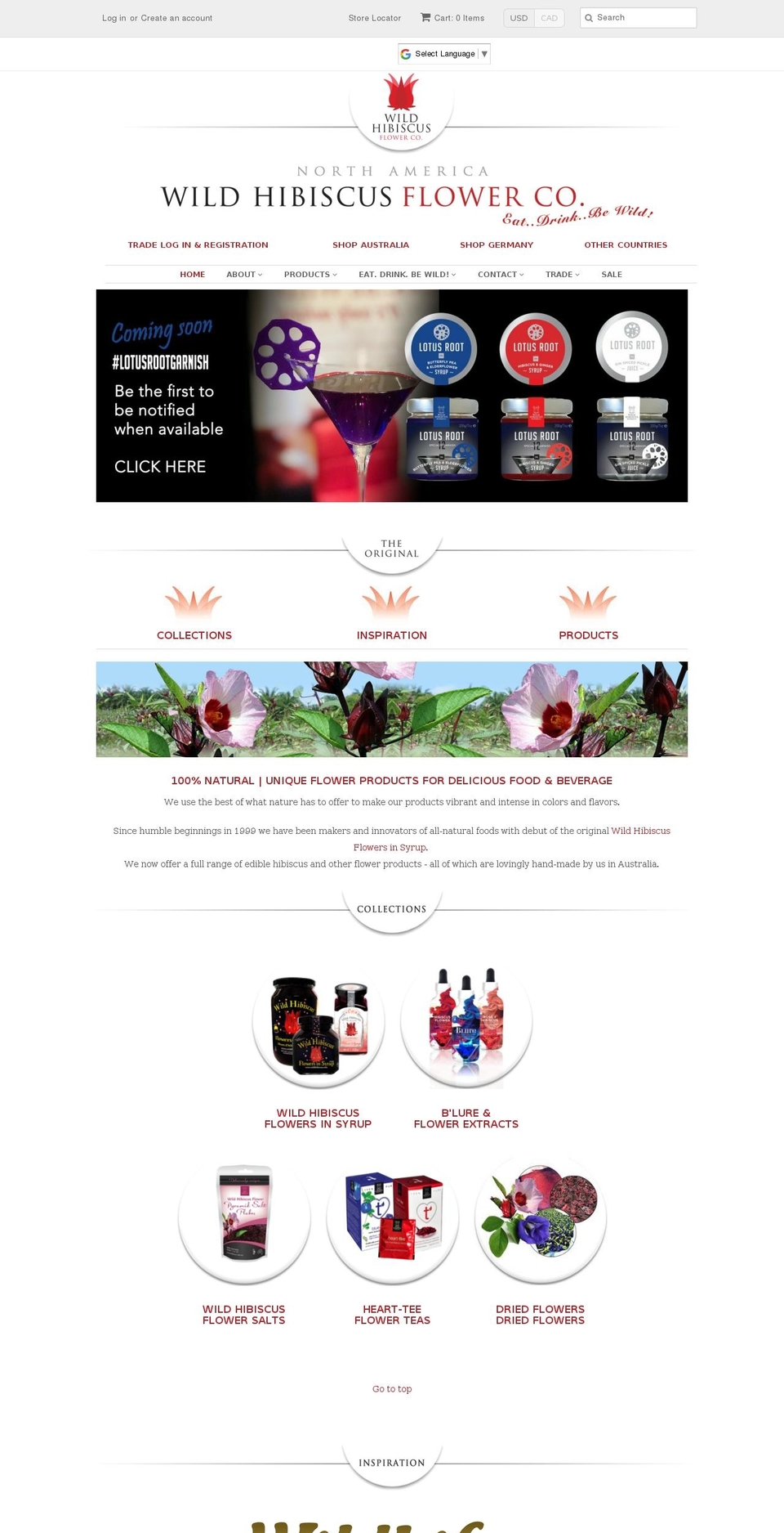 Wild Hibiscus TO\/SAW Discounts 22\/09\/15 Shopify theme site example b-lure.com.au