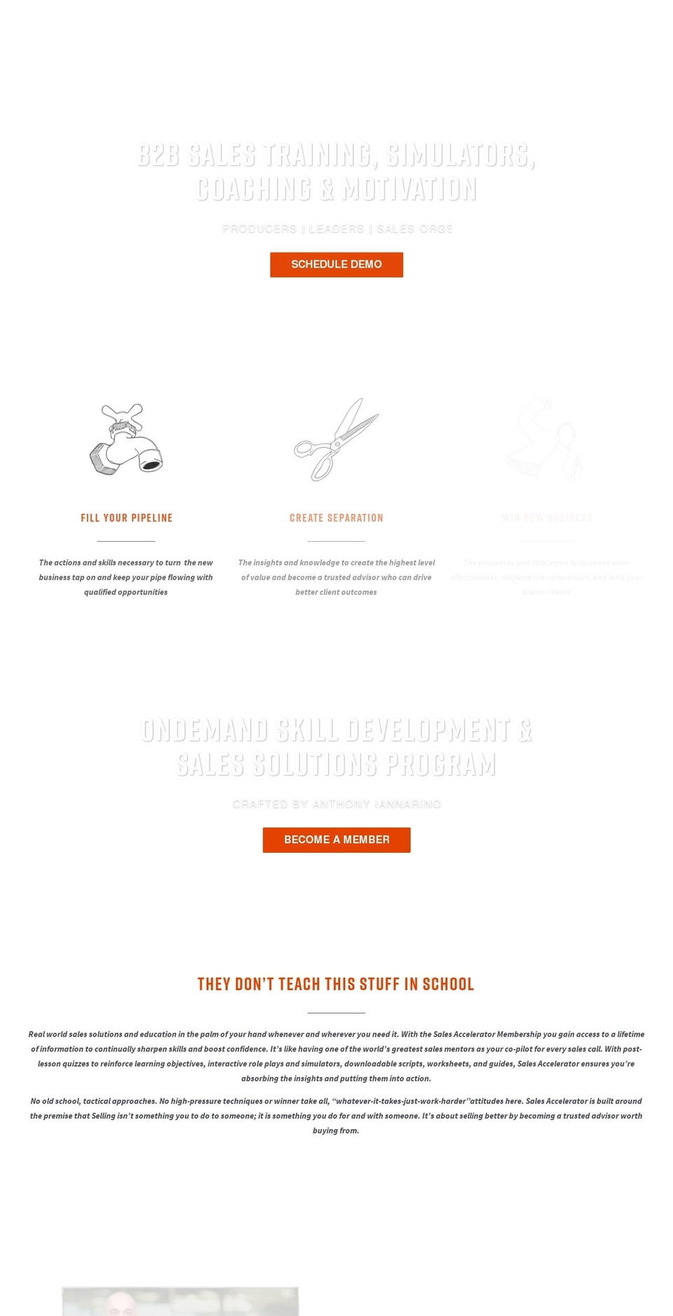 b2bsalestraining.com — Shopify storefront screenshot