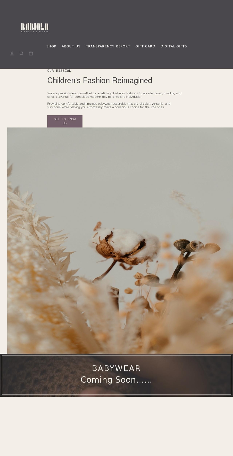 babiclo.com — Shopify storefront screenshot