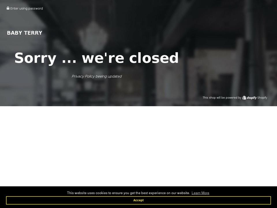 babyterry.com shopify website screenshot
