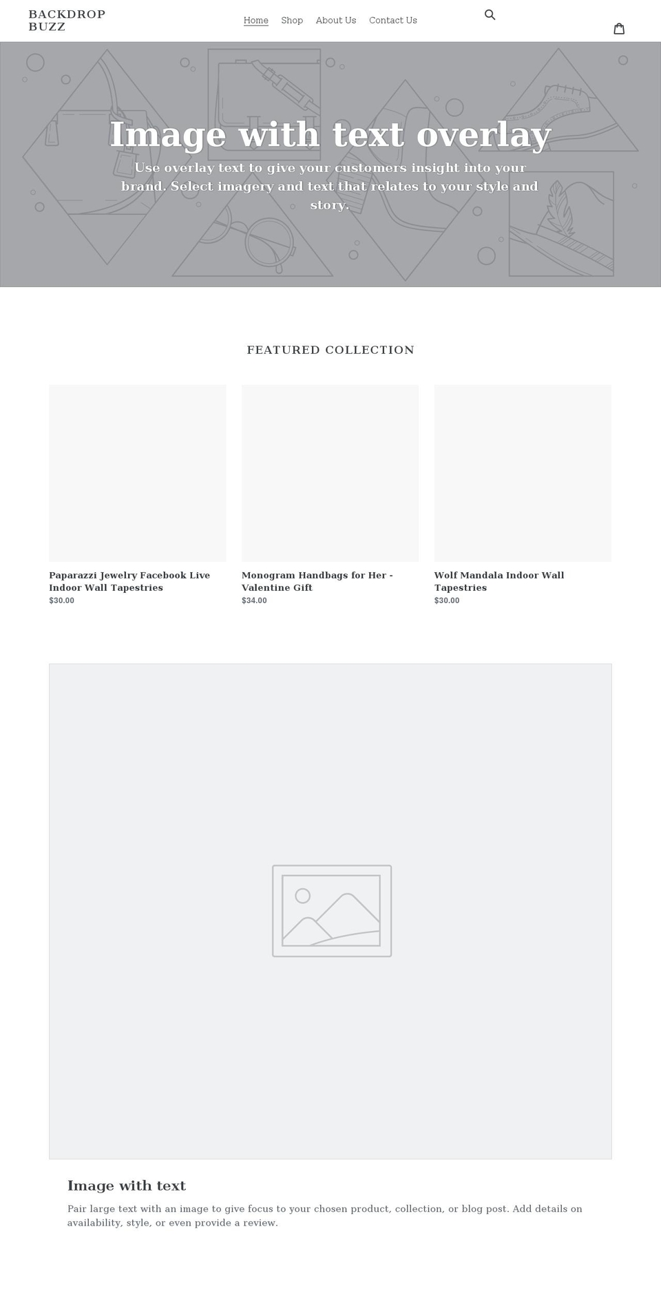 backdropbuzz.com shopify website screenshot