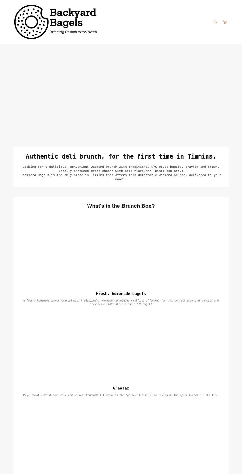 backyardbagels.com shopify website screenshot