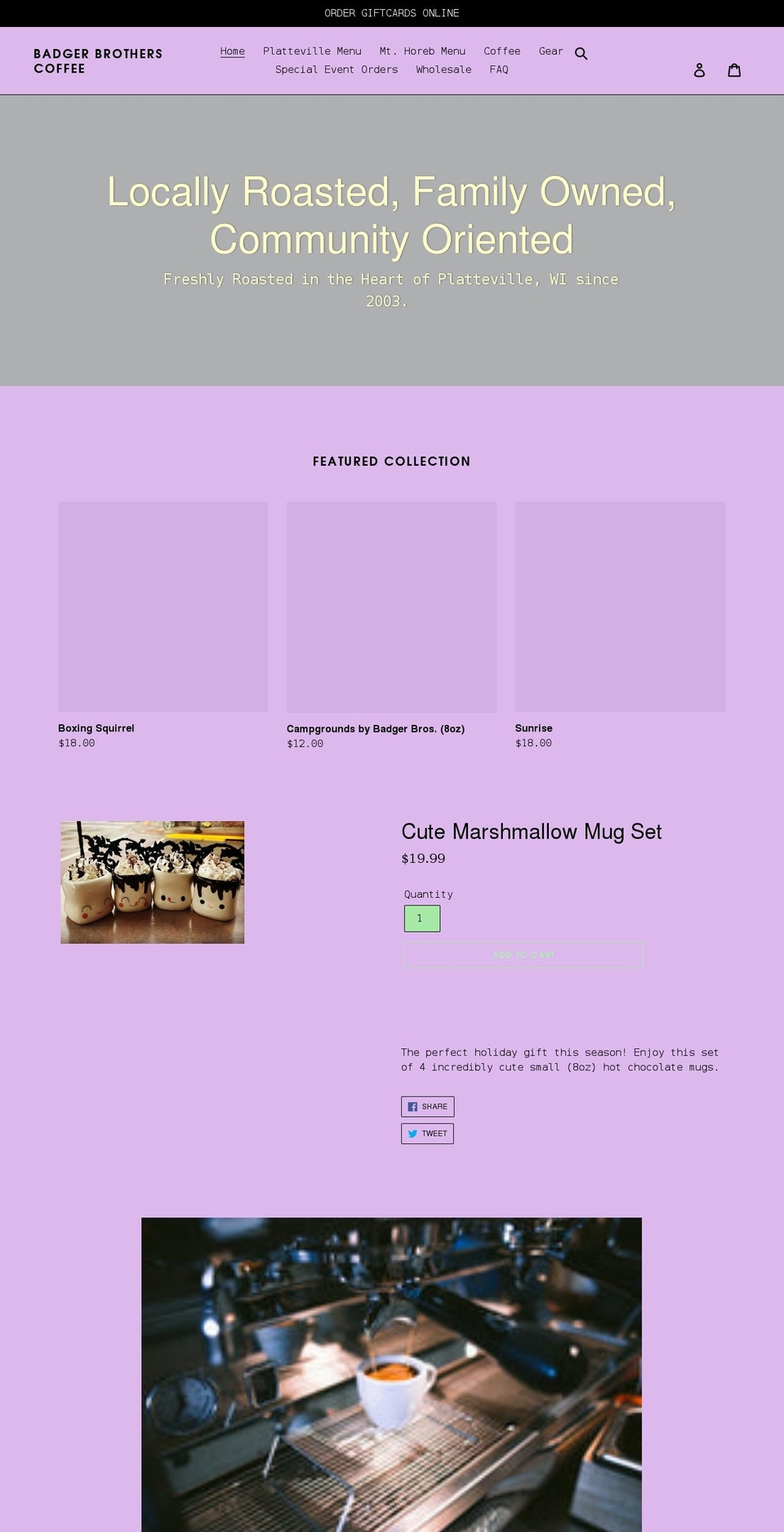 badgerbroscoffee.com shopify website screenshot