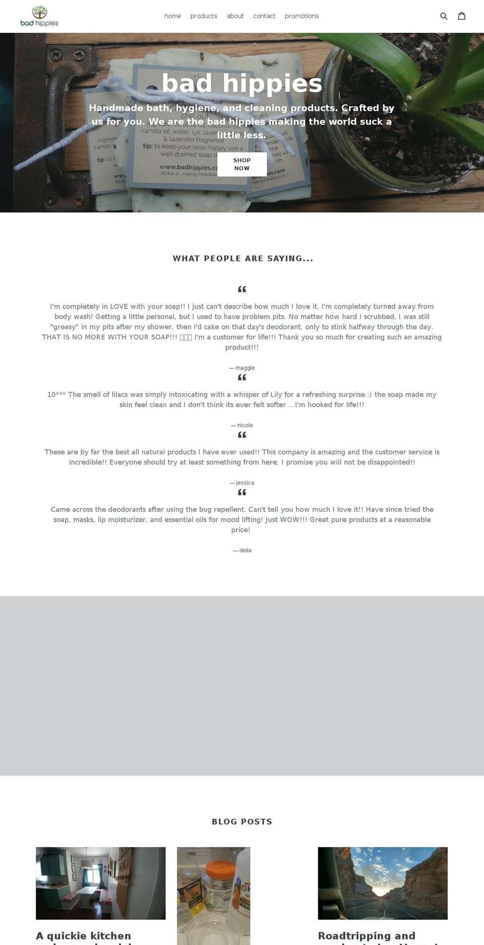 badhippies.com shopify website screenshot