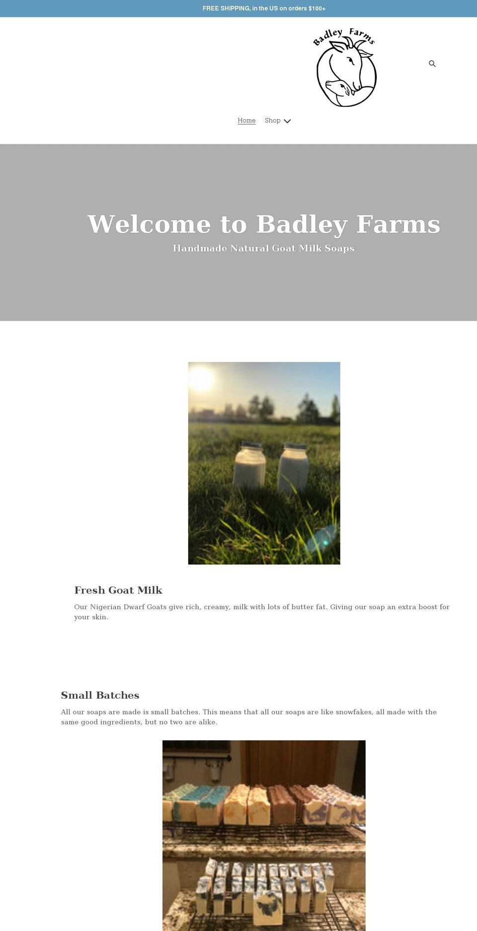 badleyfarms.com shopify website screenshot