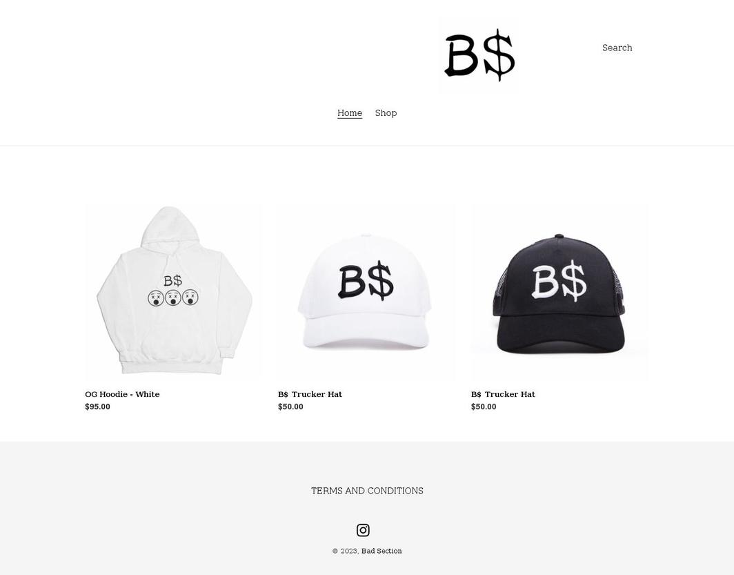 badsection.com shopify website screenshot