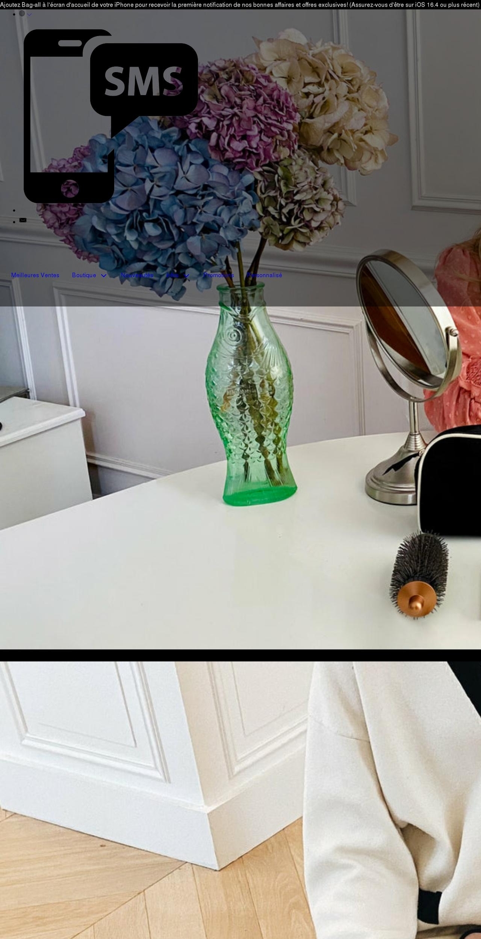 bag-all-france.com shopify website screenshot