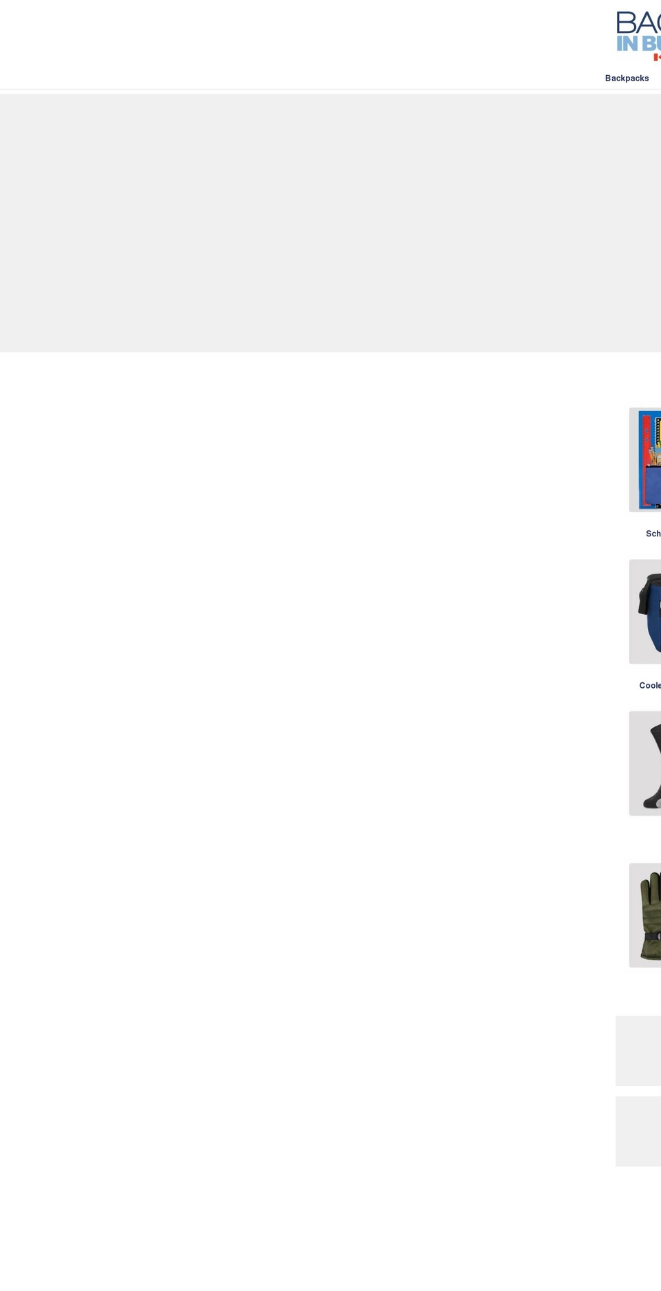 bagsinbulk.ca shopify website screenshot