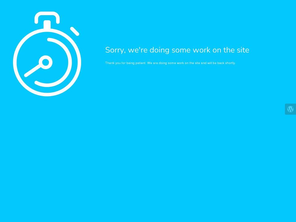 bahzu.com — Shopify storefront screenshot