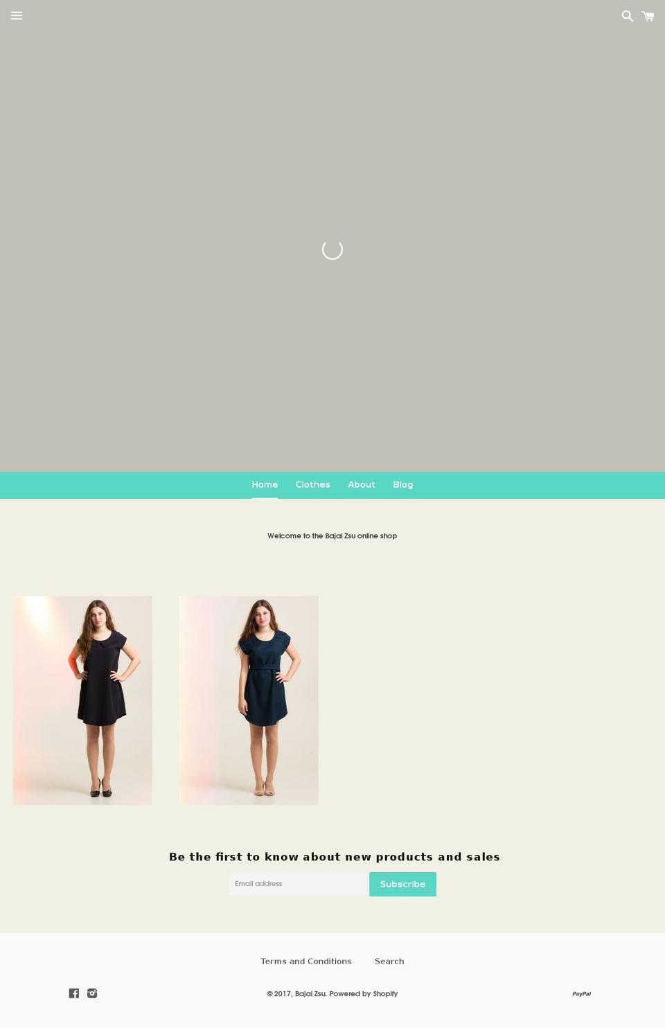 bajaizsu.com shopify website screenshot