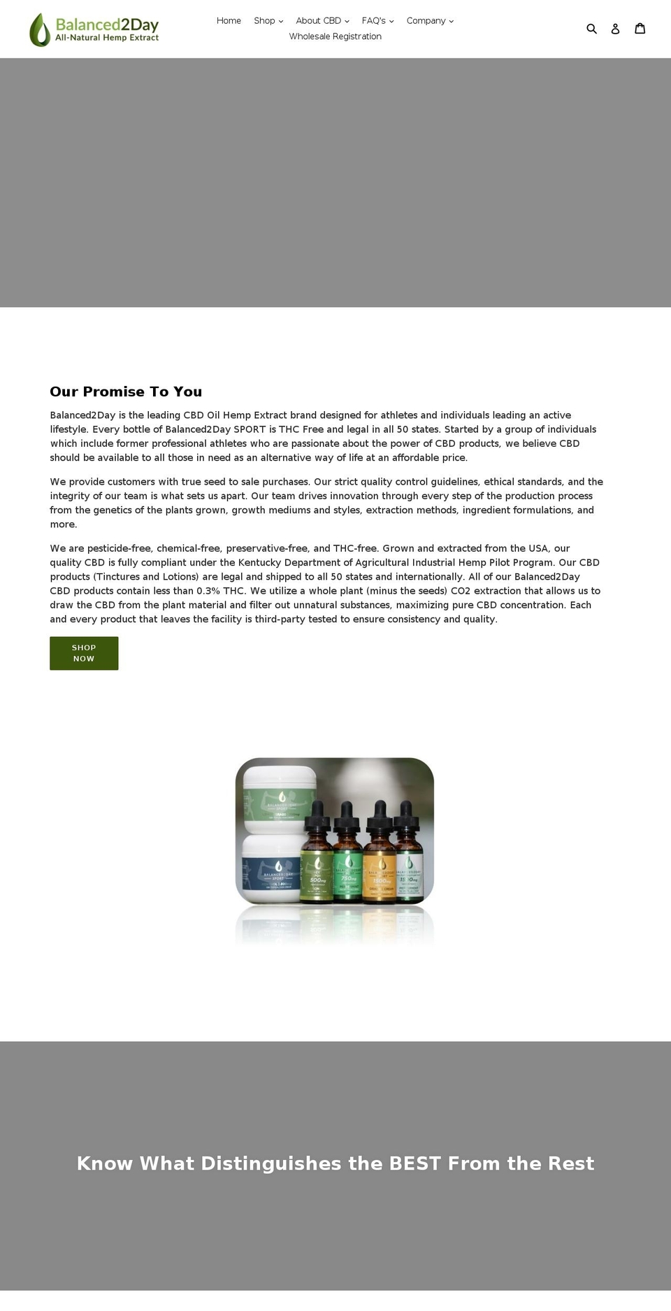 balanced2day.com — Shopify storefront screenshot