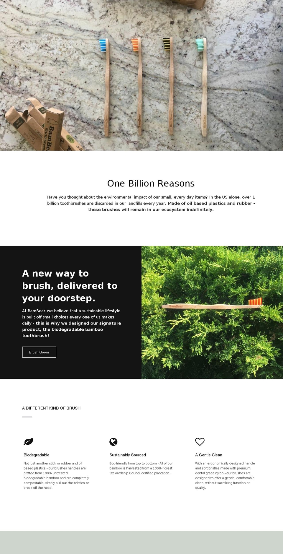 bambear.com — Shopify storefront screenshot