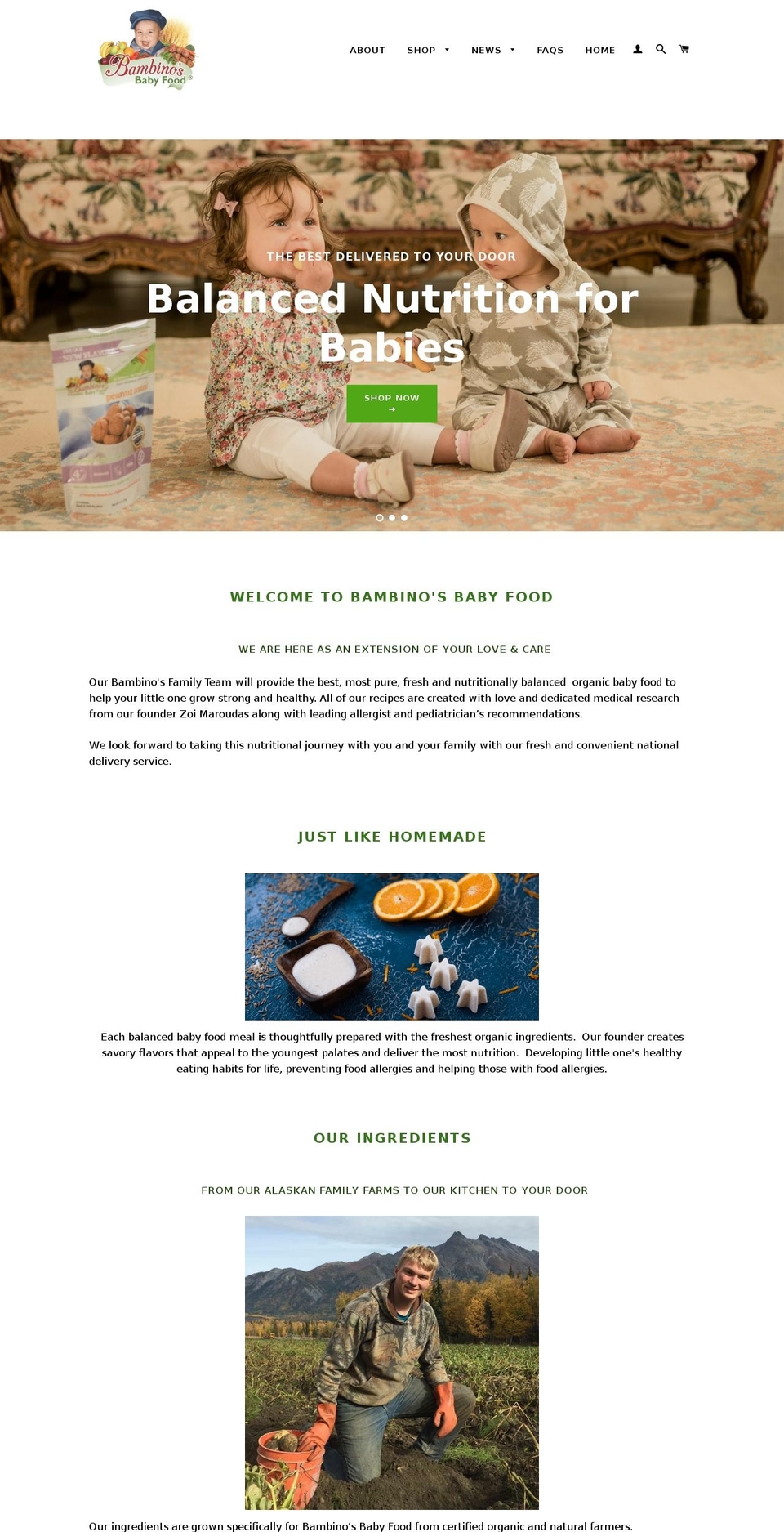 Copy of Brooklyn - Bold dev 5\/24\/16 Shopify theme site example bambinofrozenfood.com