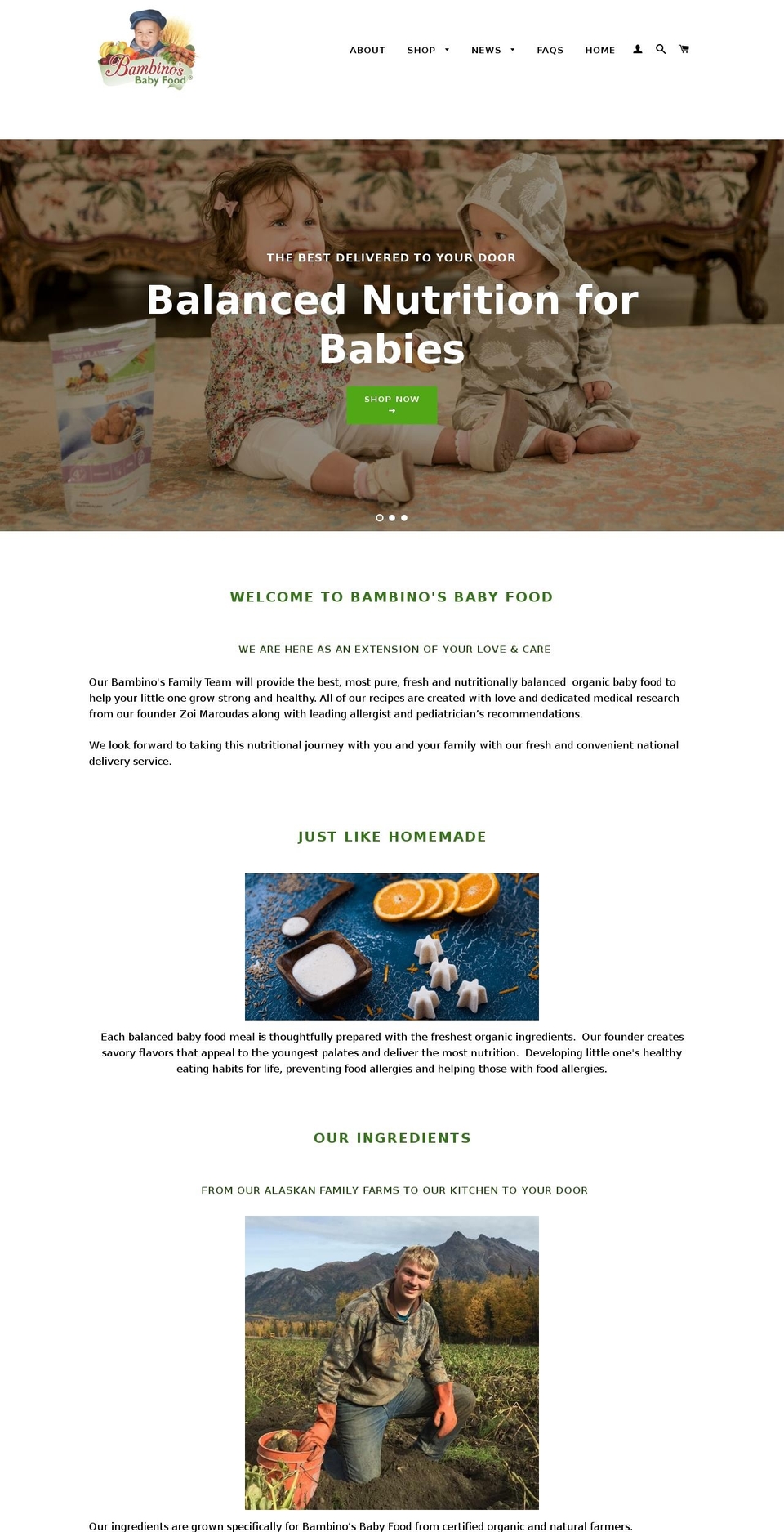 Copy of Brooklyn - Bold dev 5\/24\/16 Shopify theme site example bambinosfrozenfood.com