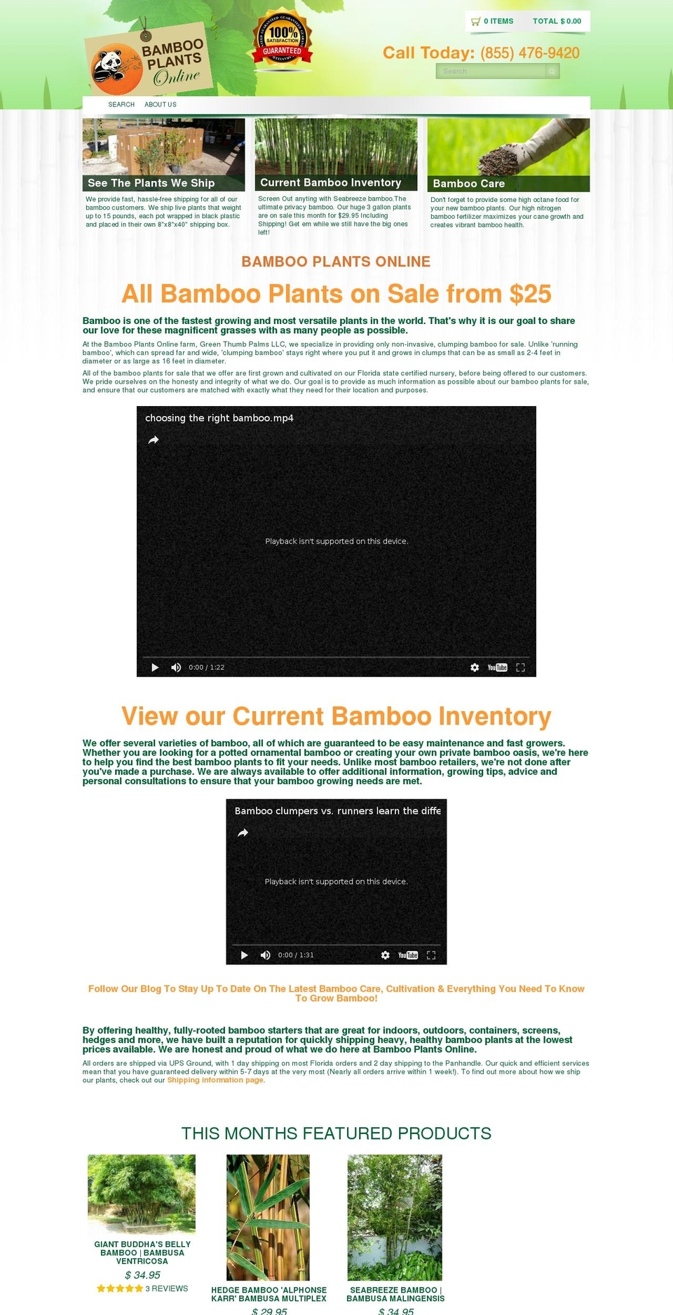 bambooplantsonline.com shopify website screenshot