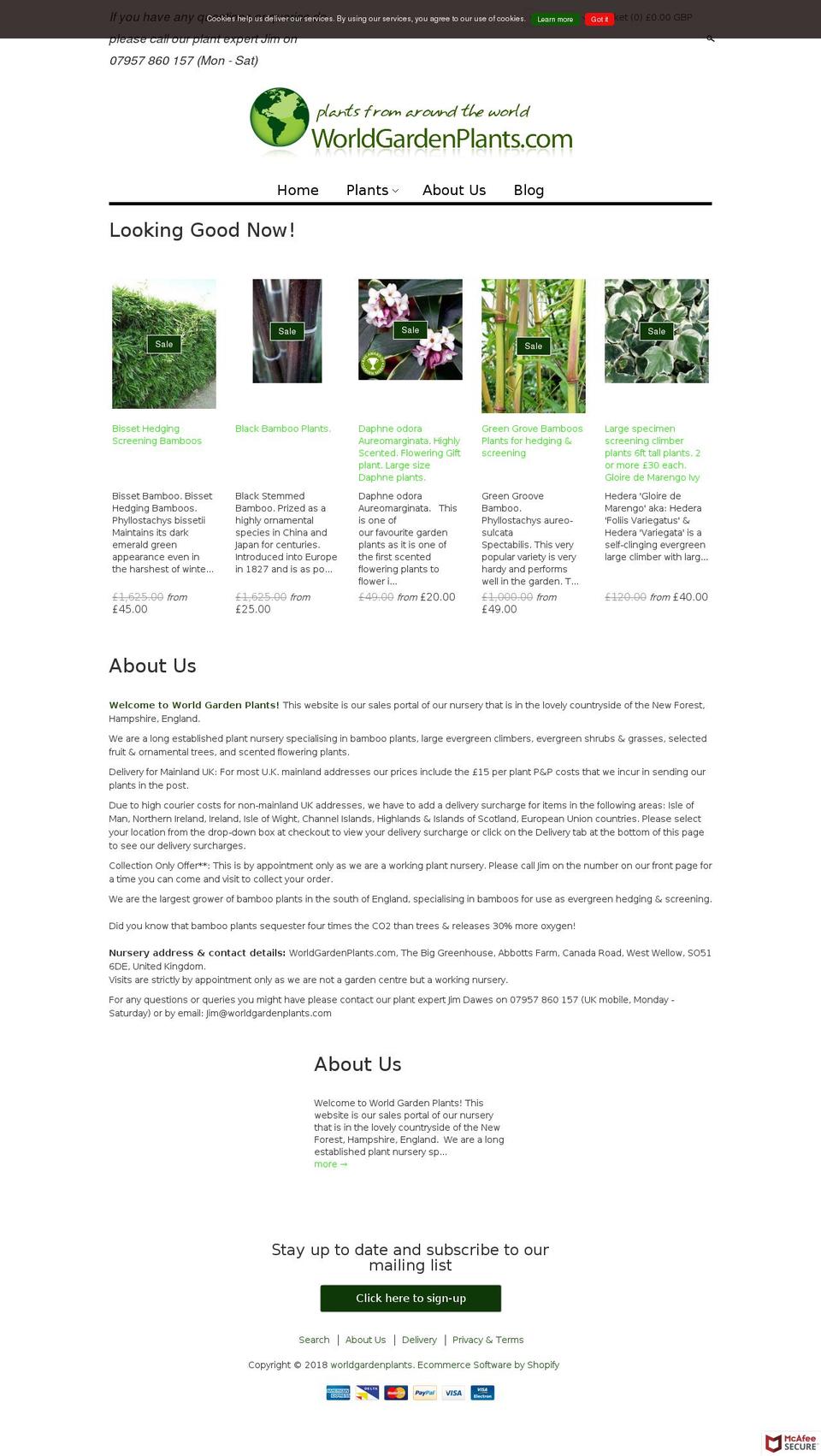 bamboosdirect.com — Shopify storefront screenshot