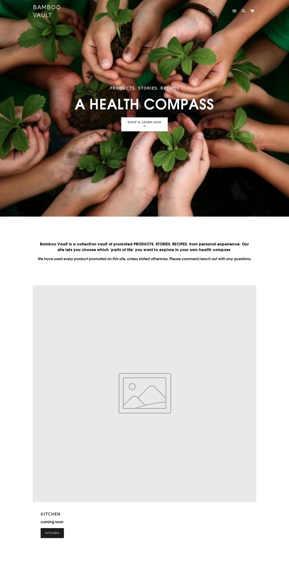 bamboovault.com shopify website screenshot