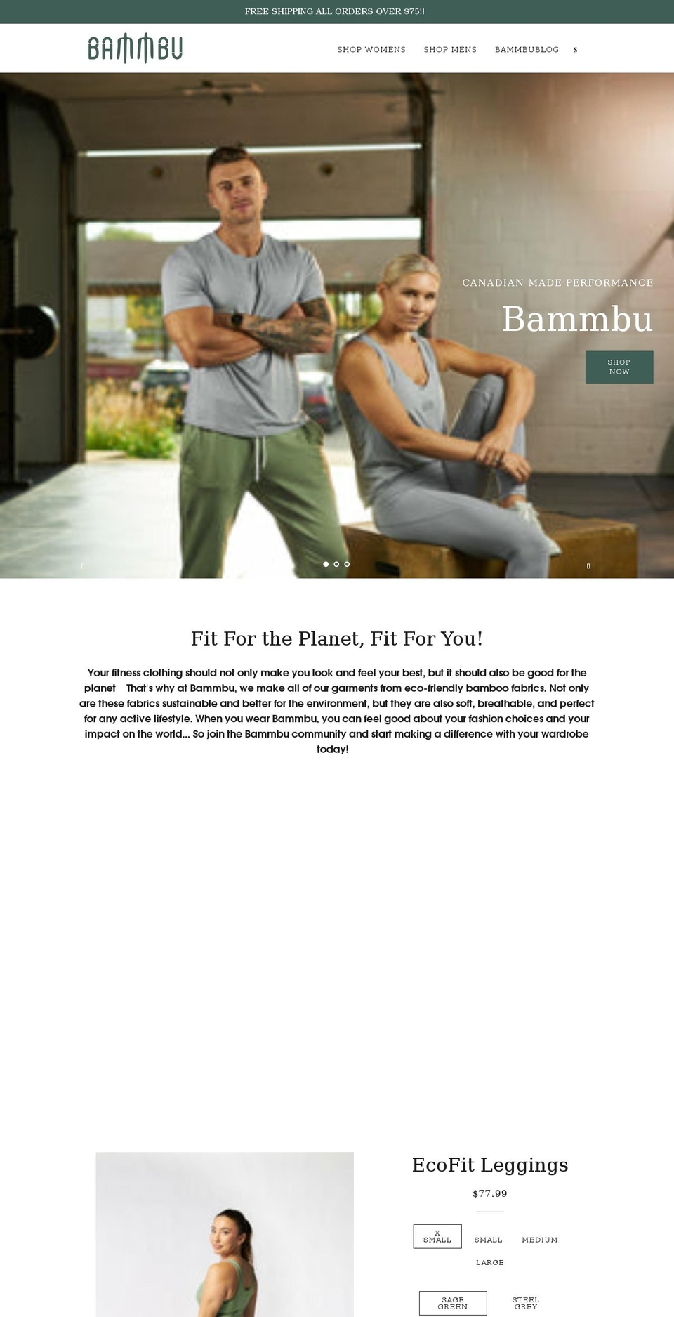 bammbufit.com shopify website screenshot