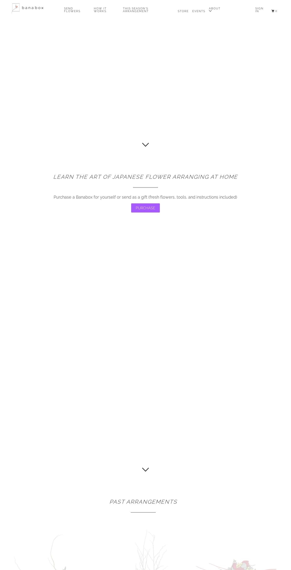 banabox.co shopify website screenshot