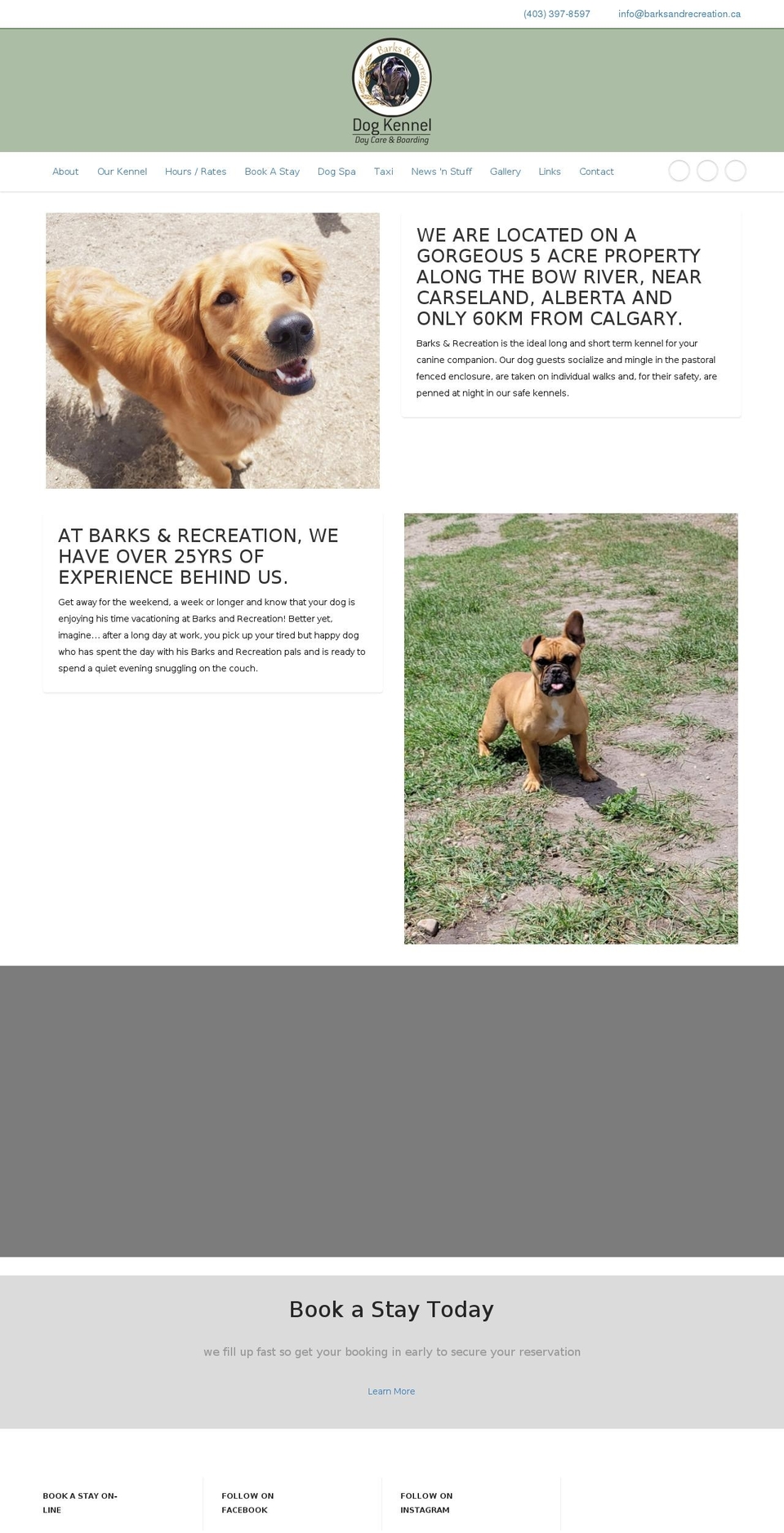 barksandrecreation.ca shopify website screenshot