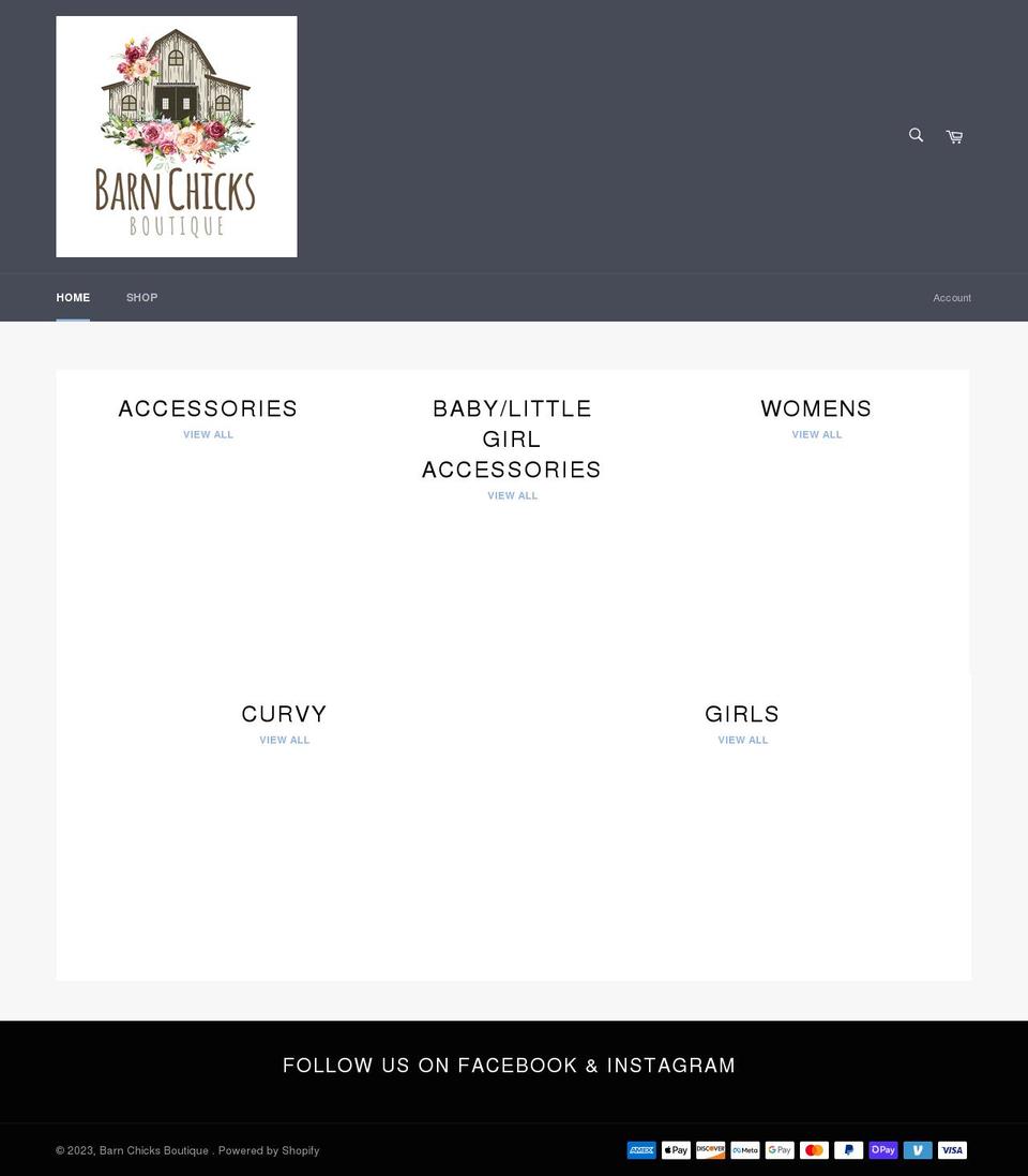 barnchicksboutique.com shopify website screenshot