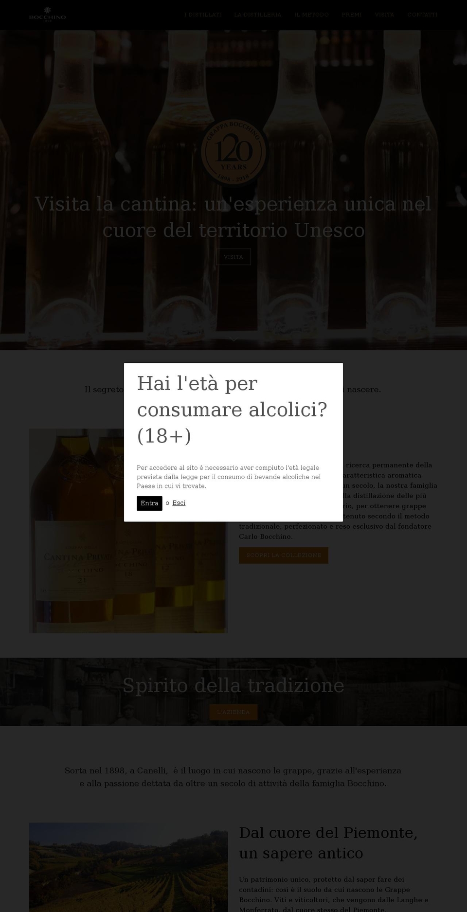 Bocchino \u003e ecommerce Shopify theme site example barolo.com