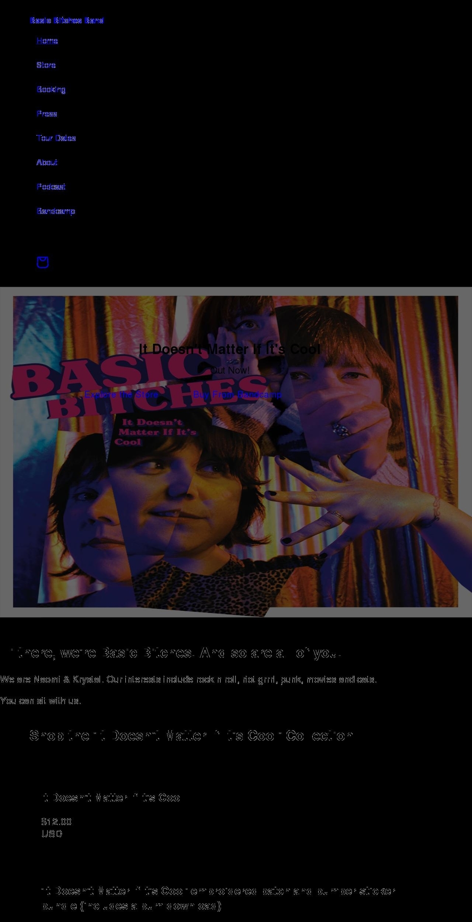 basicbitchesband.com shopify website screenshot
