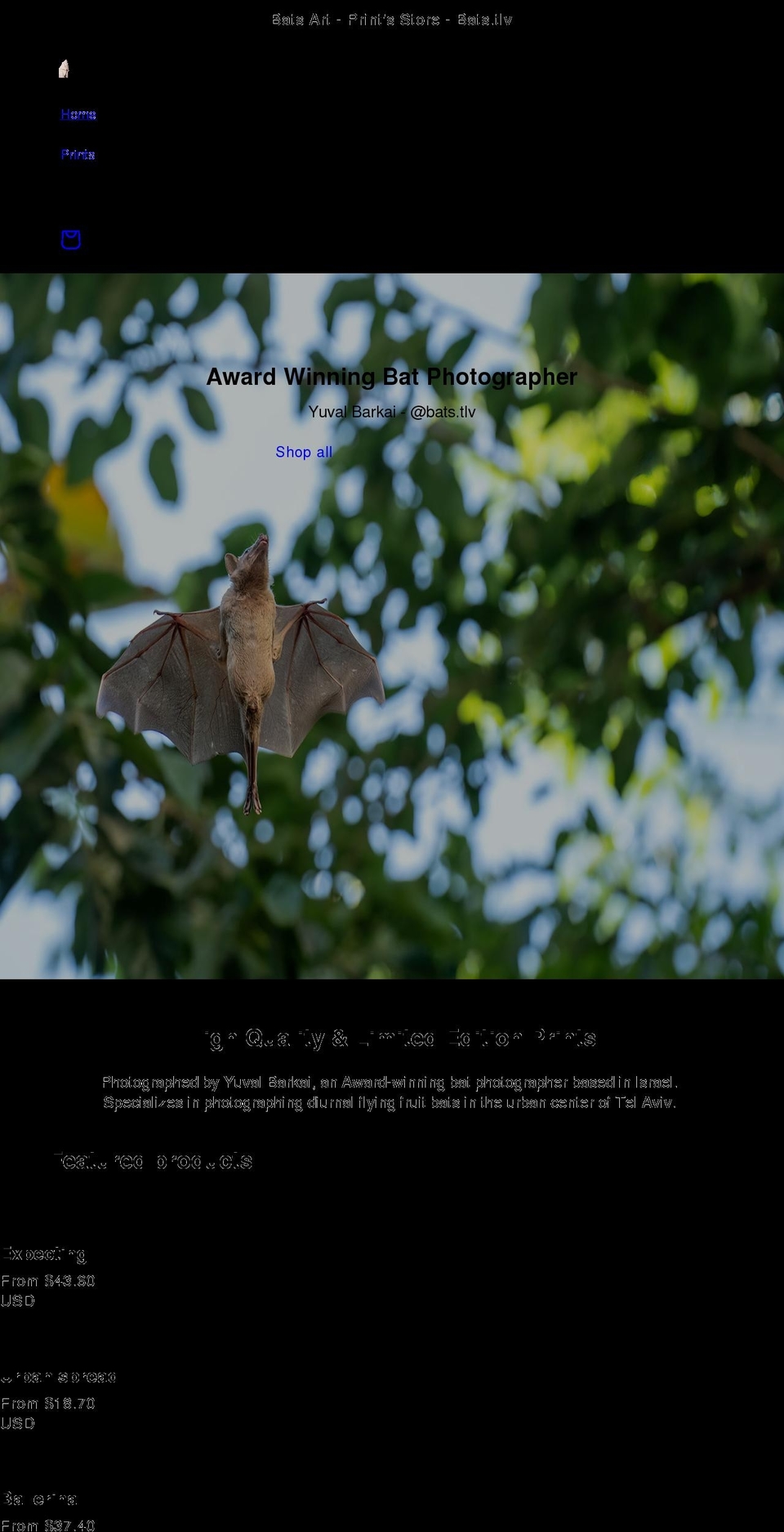 batprints.com shopify website screenshot